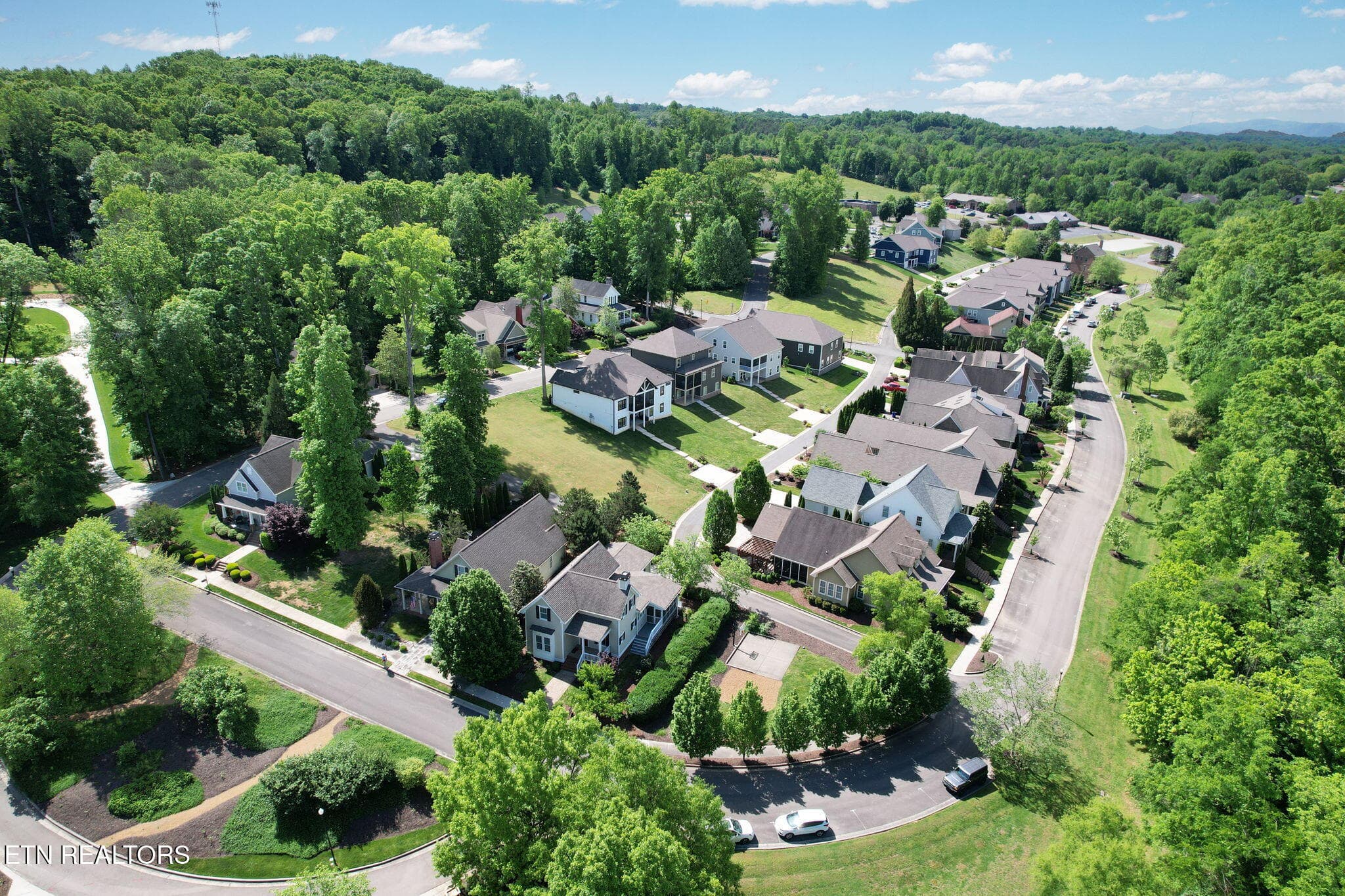 9-web-or-mls-DJI_0059 - 2664 Spring Creek Drive, Cleveland, TN 37311