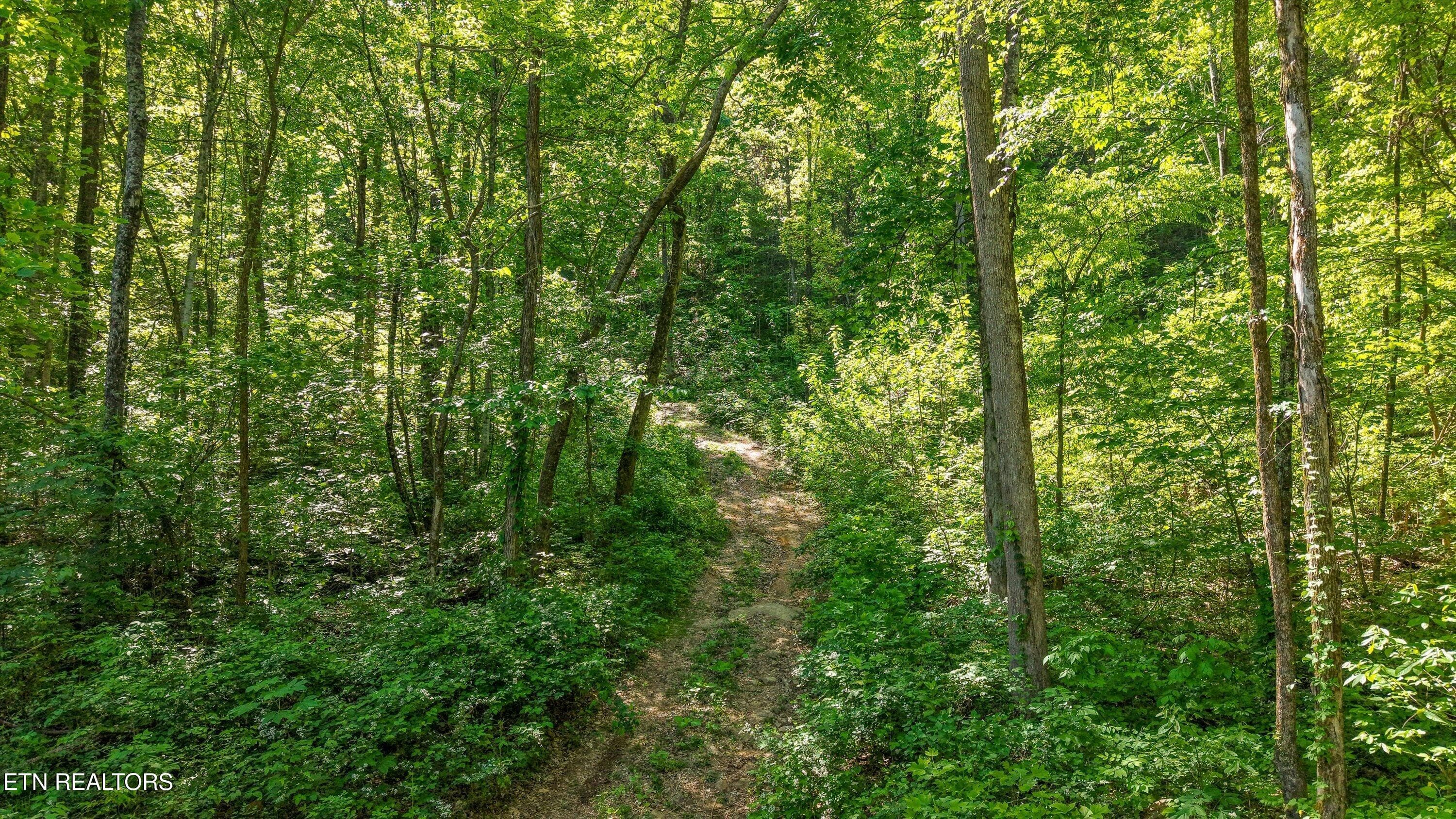 10-Chilhowee Trail Tract 77-03 - Tract 77 Chilhowee Tr, Maryville, TN 37803, Maryville