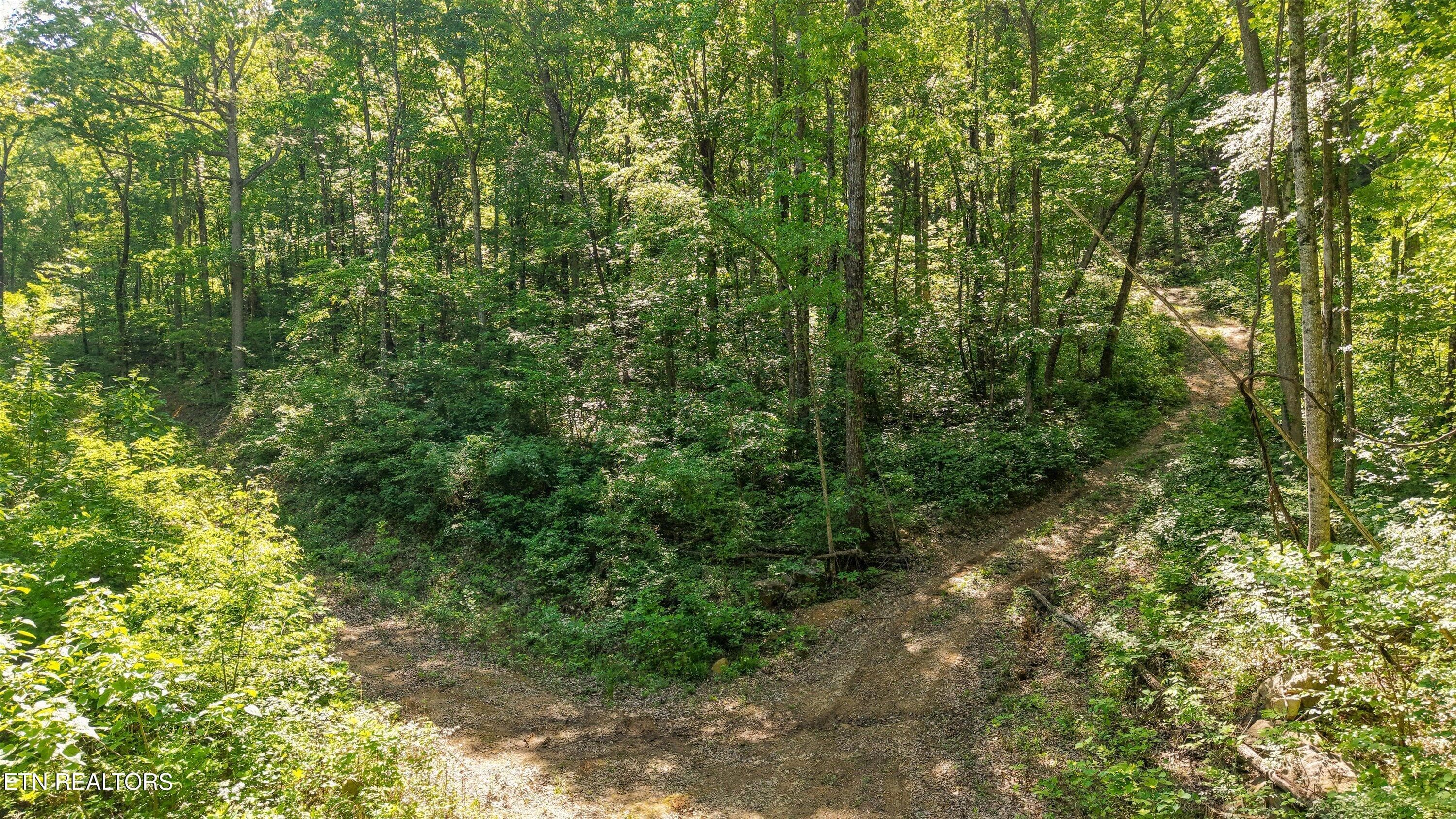 12-Chilhowee Trail Tract 77-02 - Tract 77 Chilhowee Tr, Maryville, TN 37803, Maryville