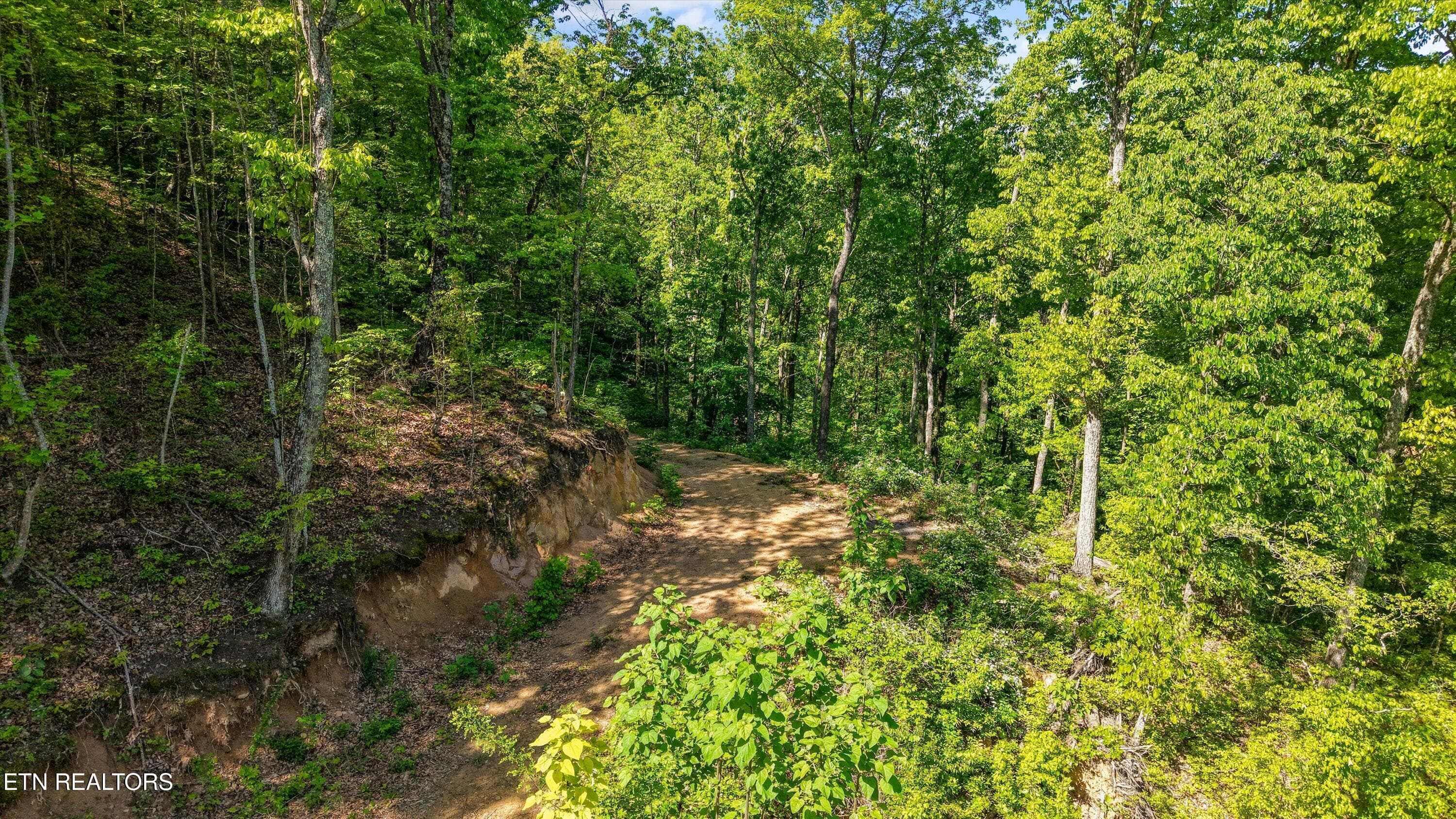 14-Chilhowee Trail Tract 77-13 - Tract 77 Chilhowee Tr, Maryville, TN 37803, Maryville