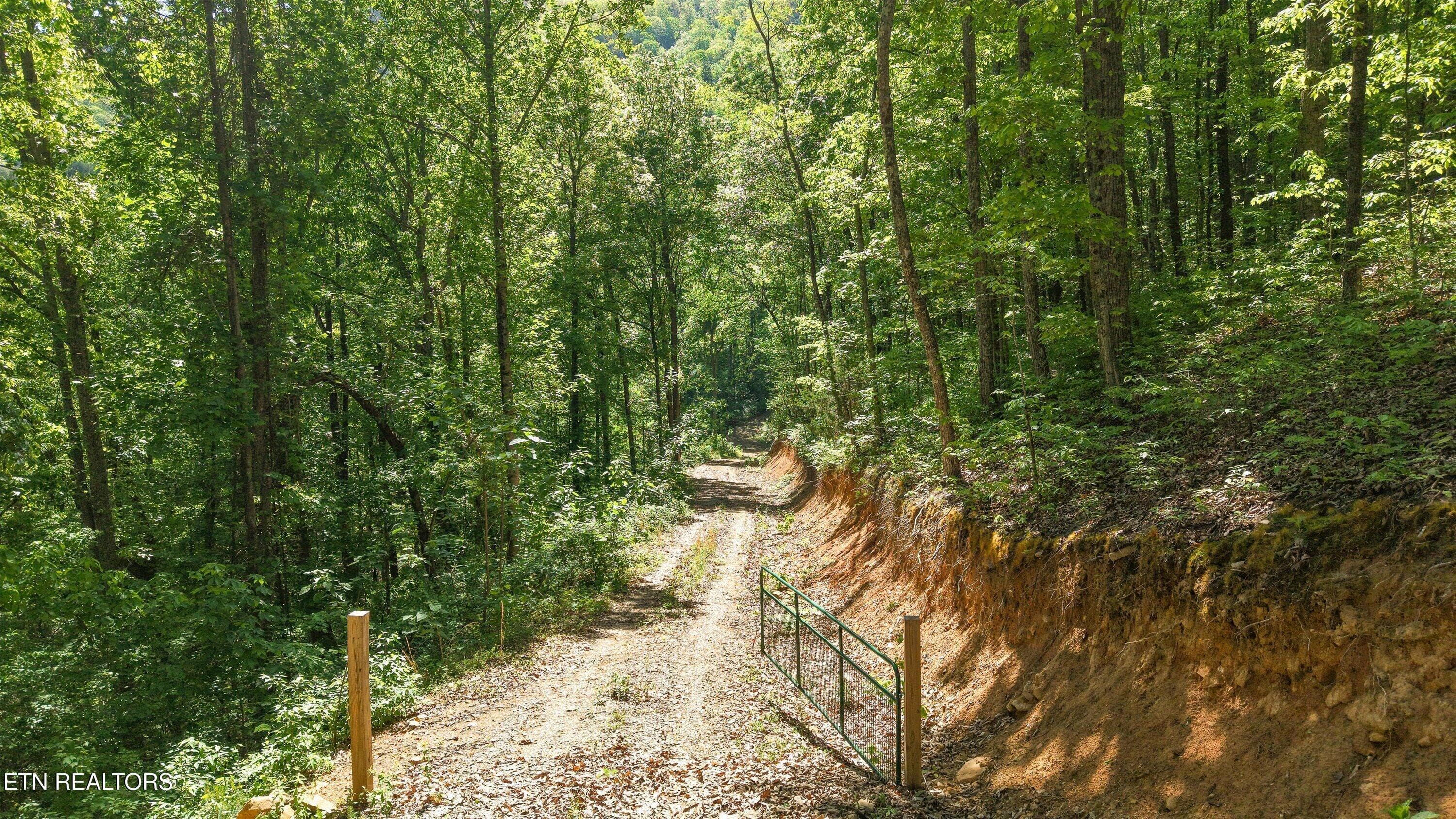 17-Chilhowee Trail Tract 77-18 - Tract 77 Chilhowee Tr, Maryville, TN 37803, Maryville