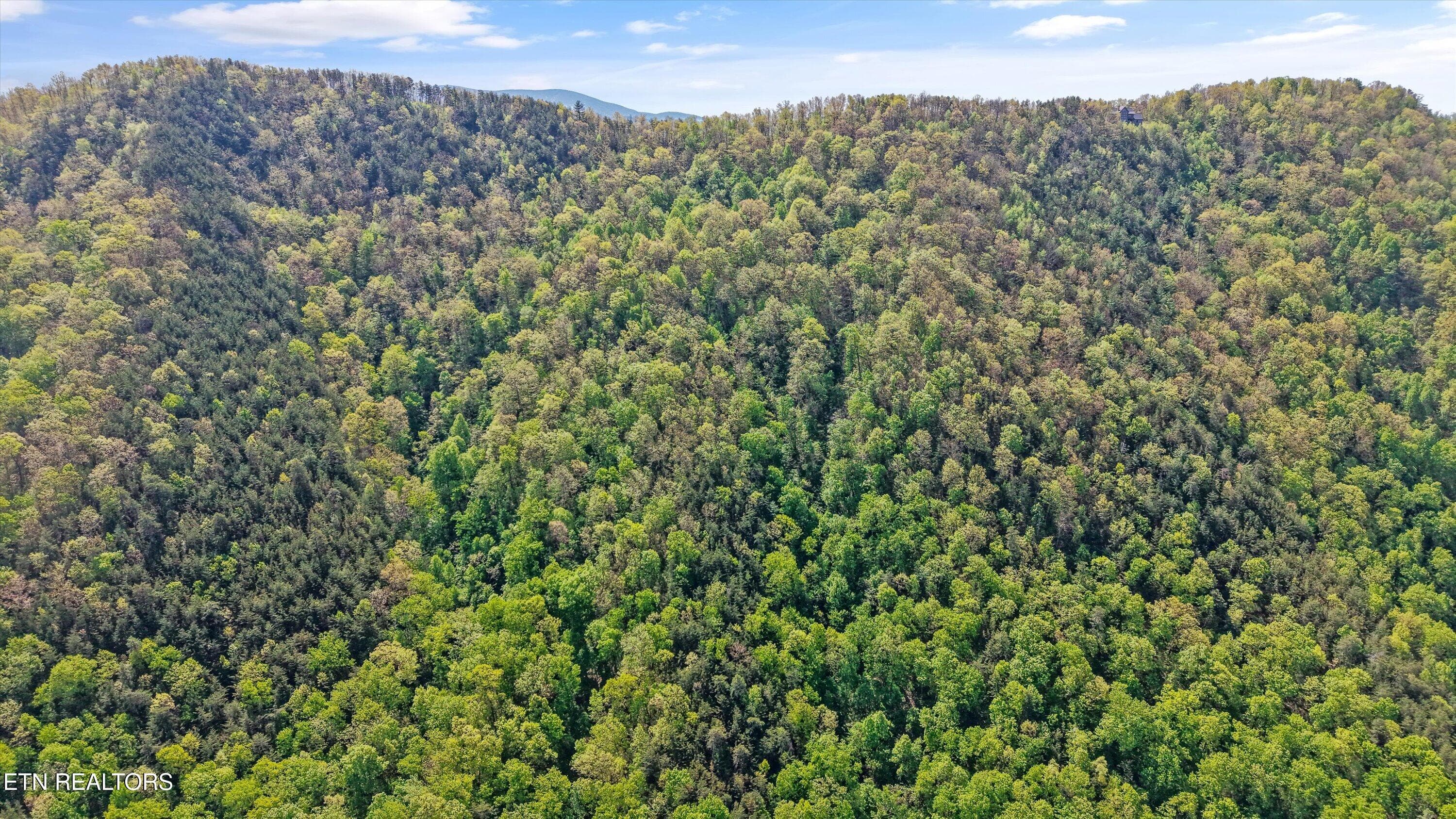 01-0 Chilhowee 03 - Tract 1-2 Chilhowee Tr, Maryville, TN 37803