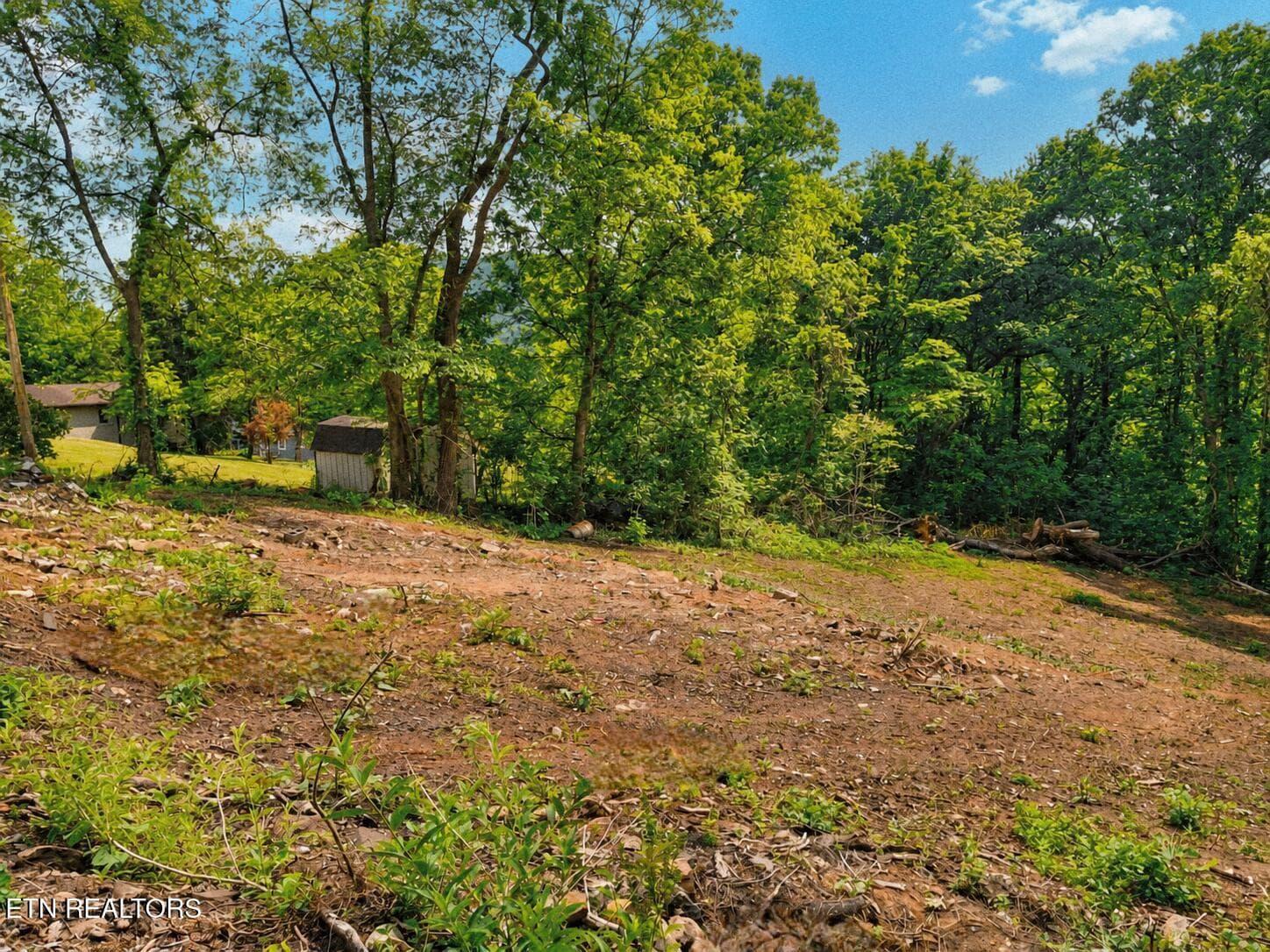 1000046899 - 147 Stephens Rd, Rocky Top, TN 37769, Rocky Top