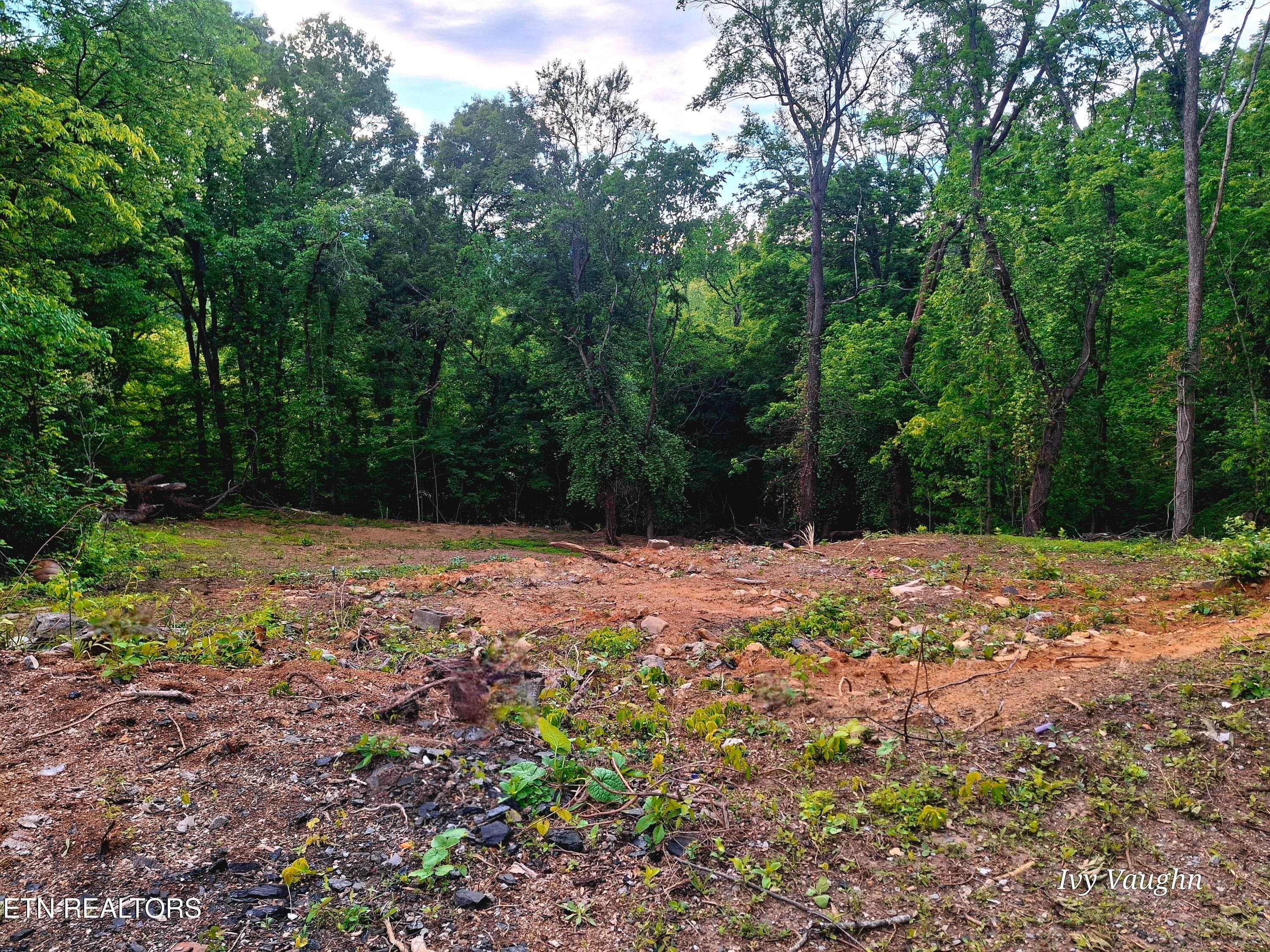 20260504_190114 - 147 Stephens Rd, Rocky Top, TN 37769, Rocky Top