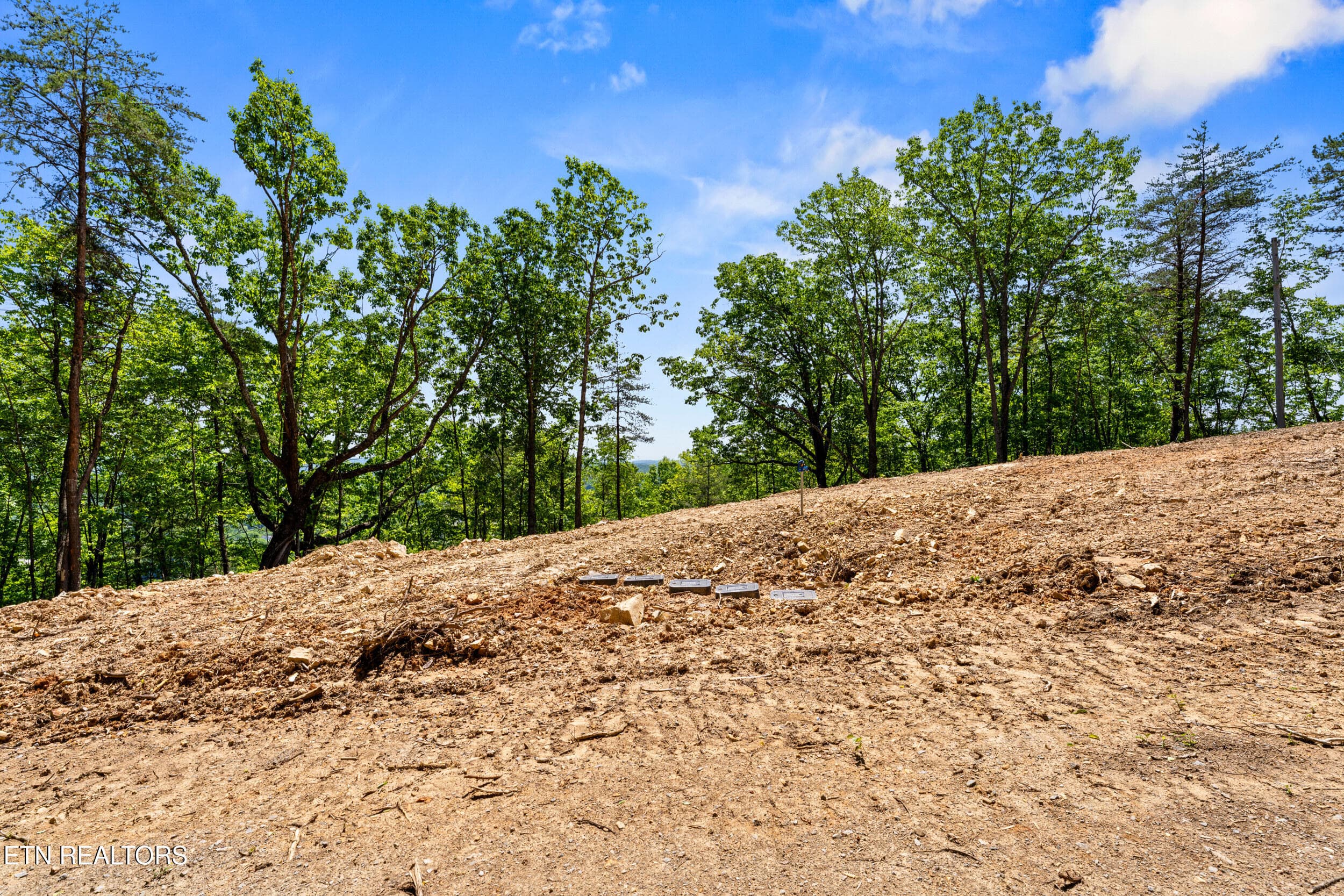 394 ridgewood rd-47 - 394 Ridgewood Rd, Harriman, TN 37748