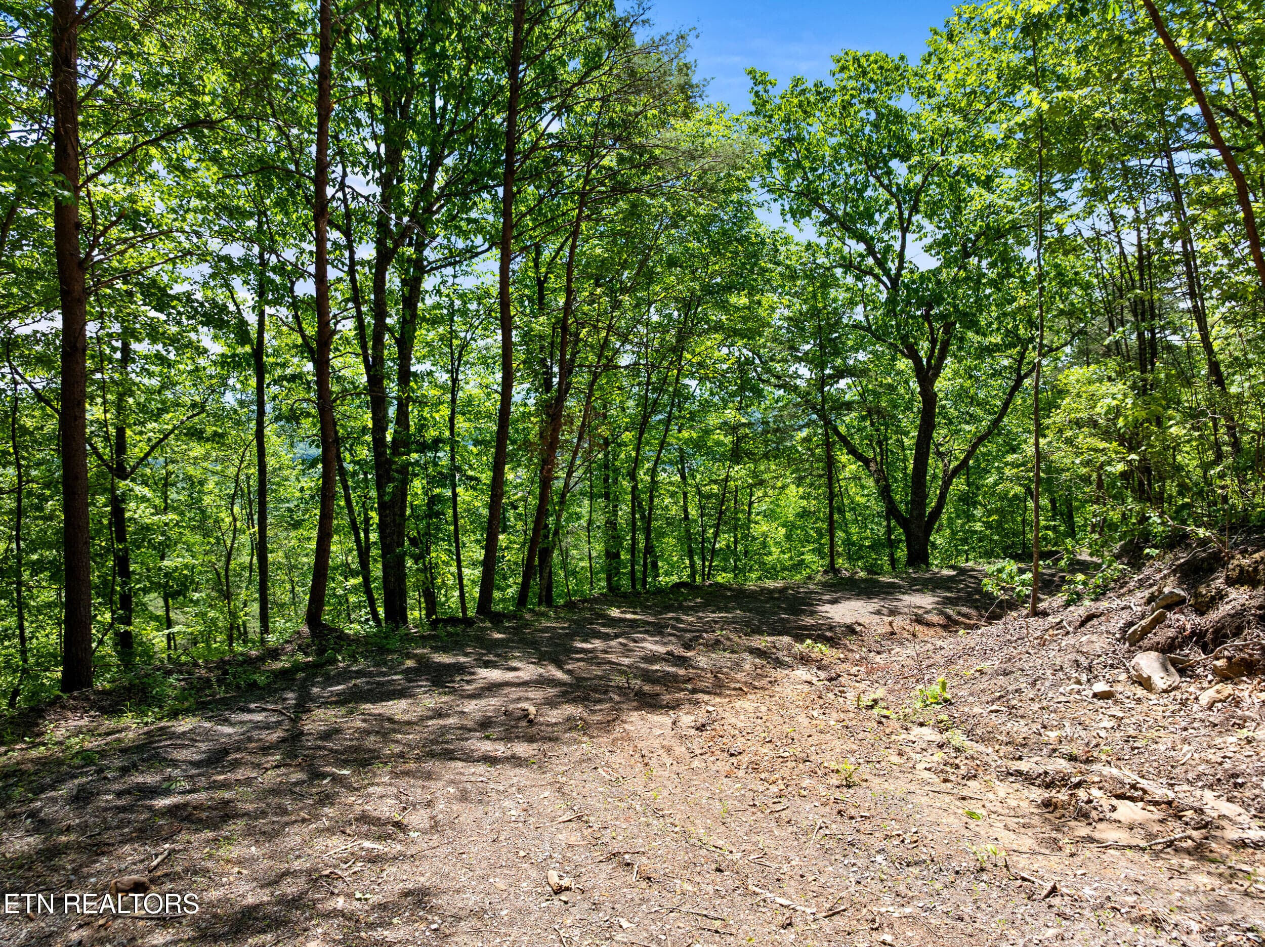 394 ridgewood rd-49 - 394 Ridgewood Rd, Harriman, TN 37748