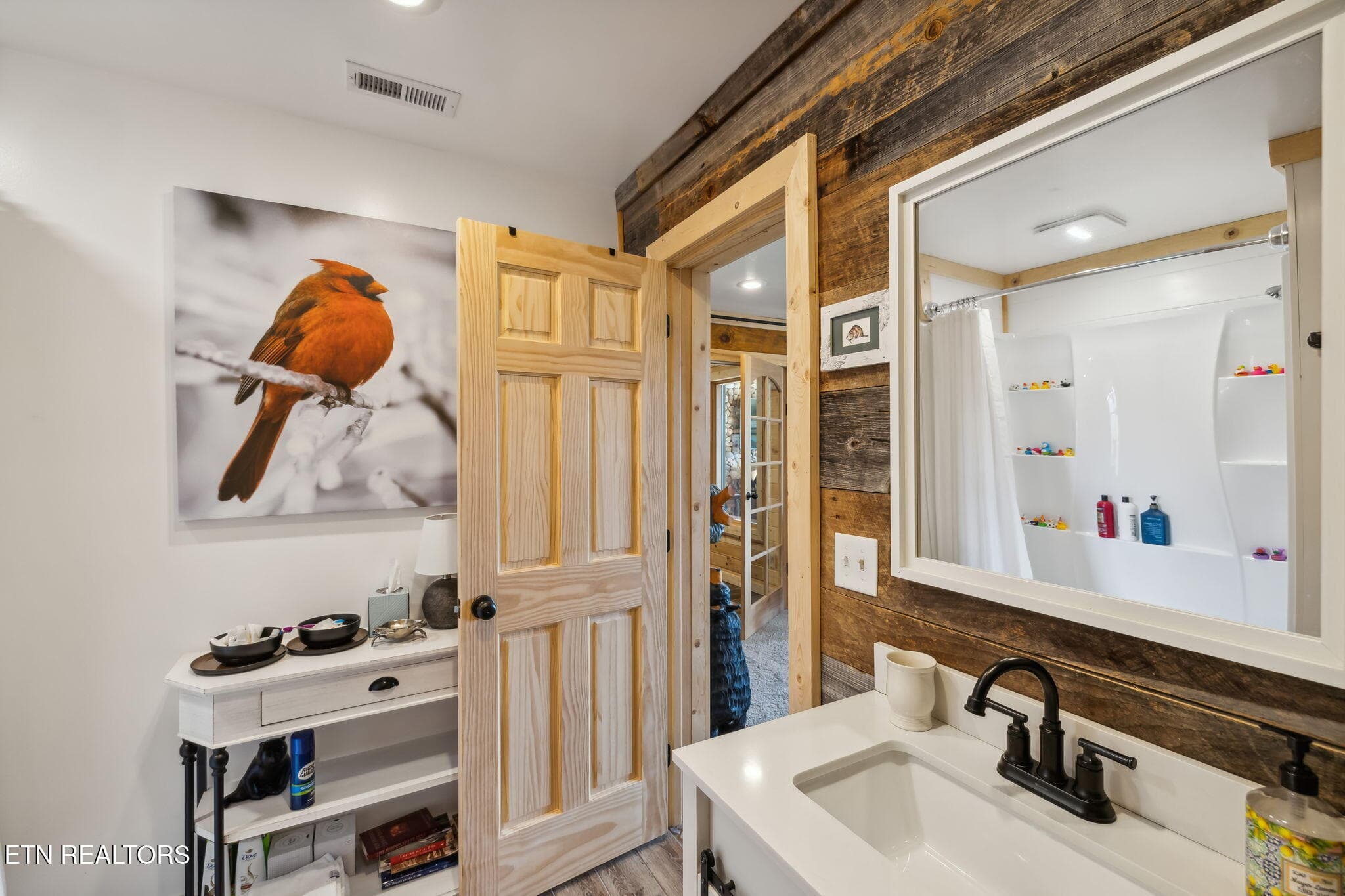 Lower bath - 1642 Little Cove Rd, Sevierville, TN 37862