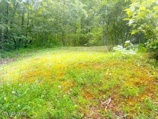 LEVEL BUILD SITE - 0 Paradise Ridge Drive, Sevierville, TN 37862