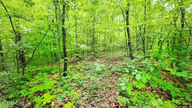 LEVEL BUILD AREA AFTER ACCESS - 0 Paradise Ridge Drive, Sevierville, TN 37862