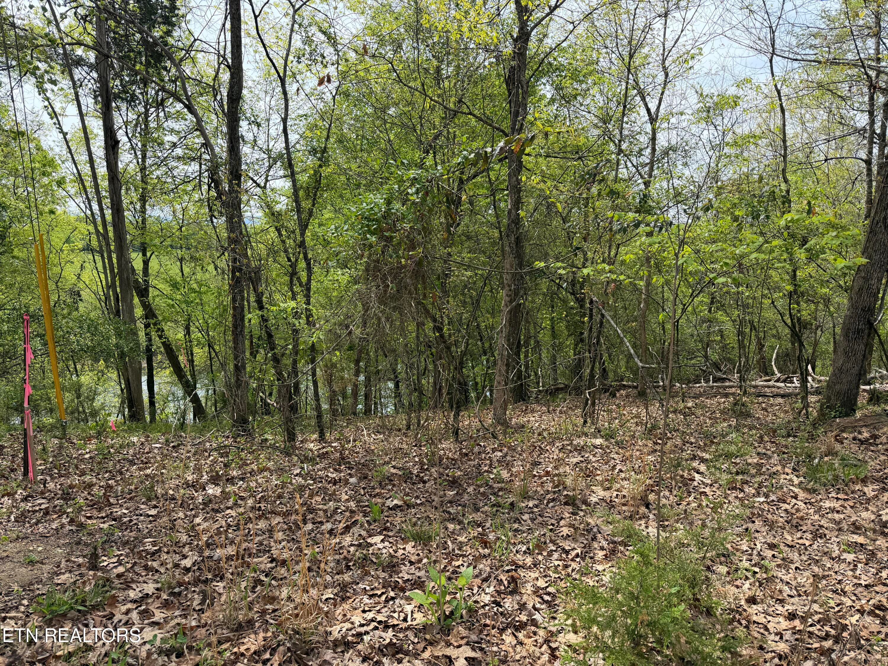 IMG_0992 - John Spears Way, Sevierville, TN 37876