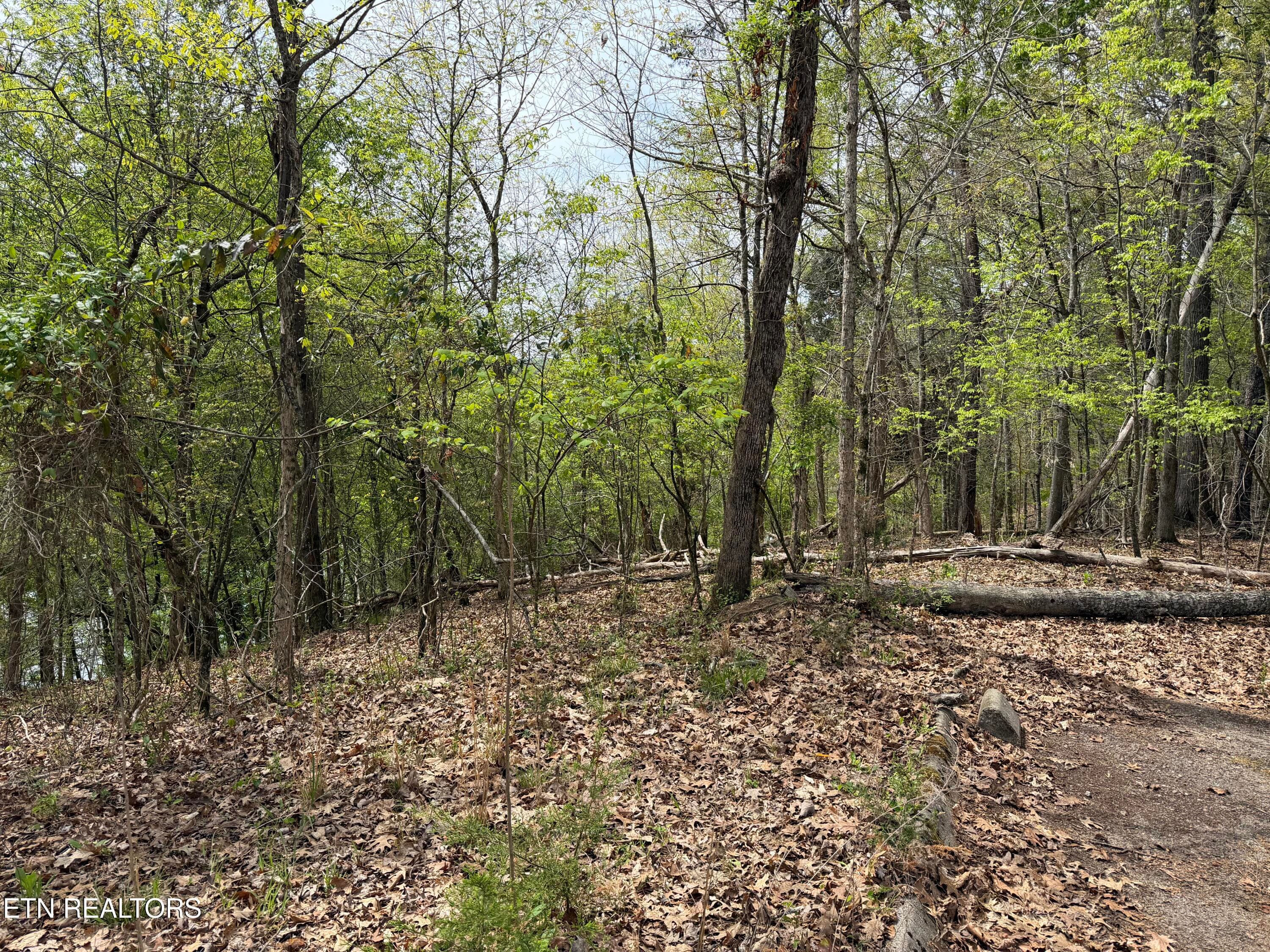 IMG_0993 - John Spears Way, Sevierville, TN 37876