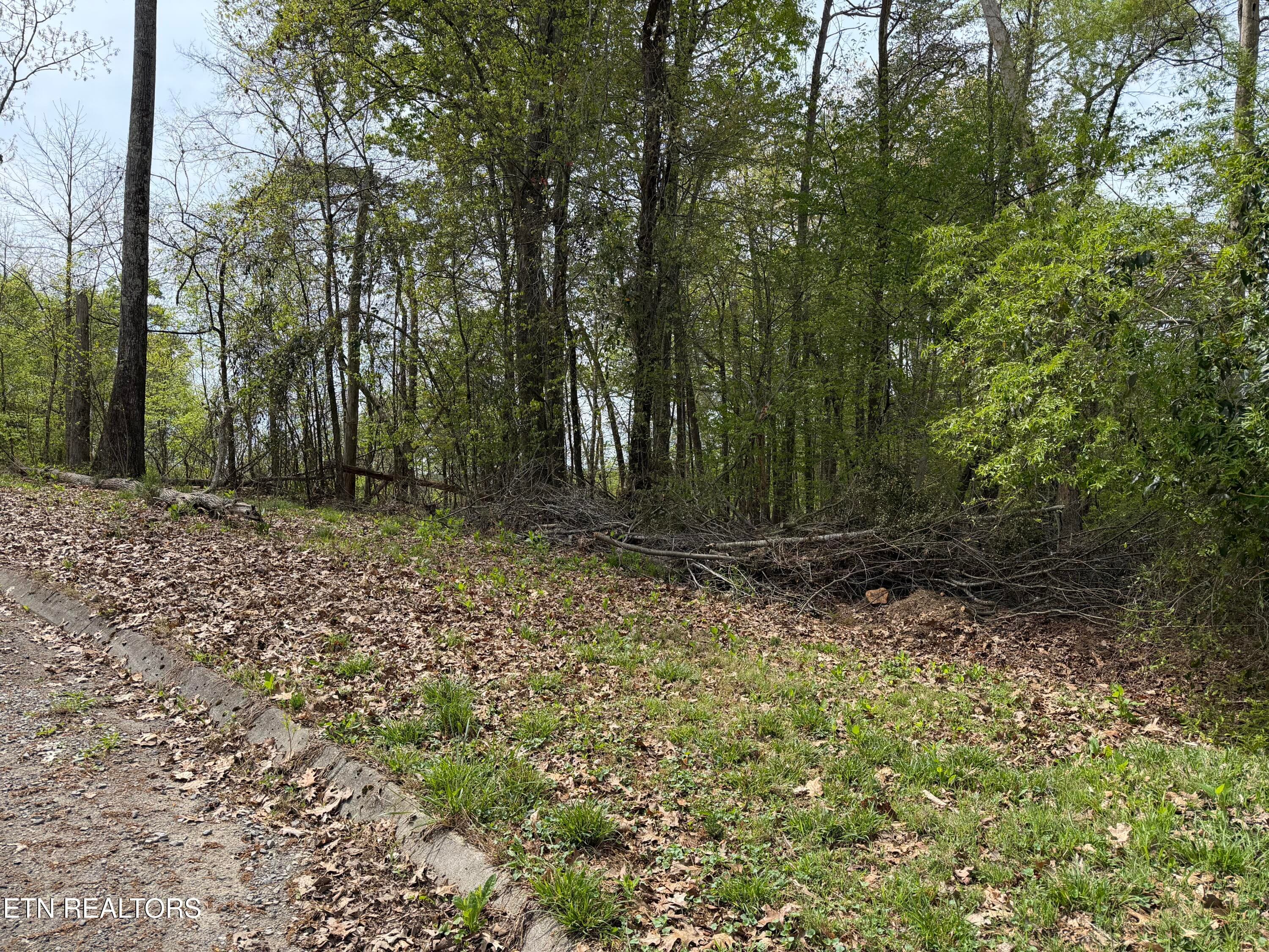 John Spears Way, Sevierville, TN 37876