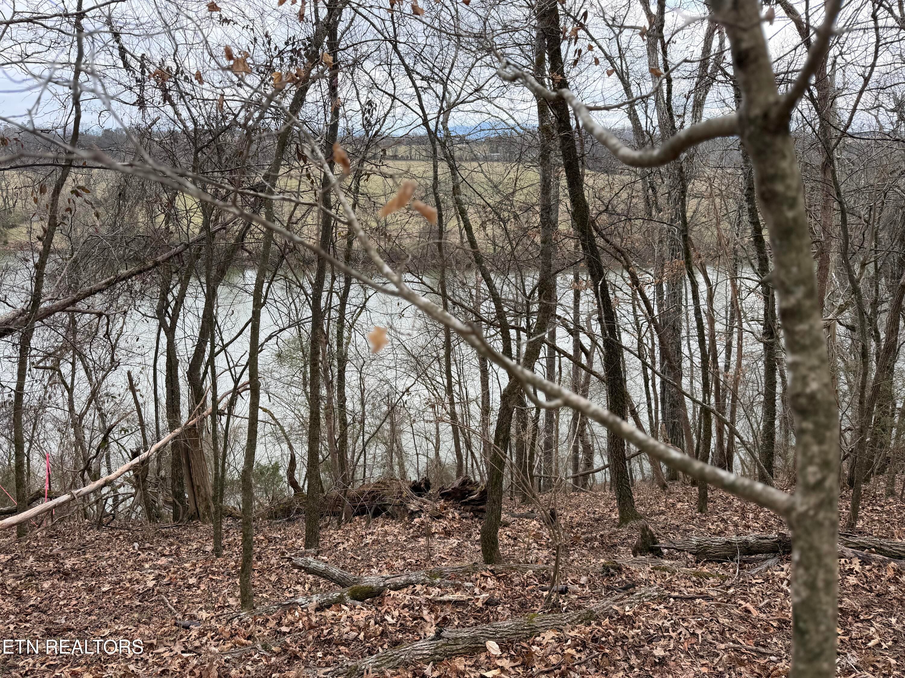 IMG_9125 - John Spears Way, Sevierville, TN 37876