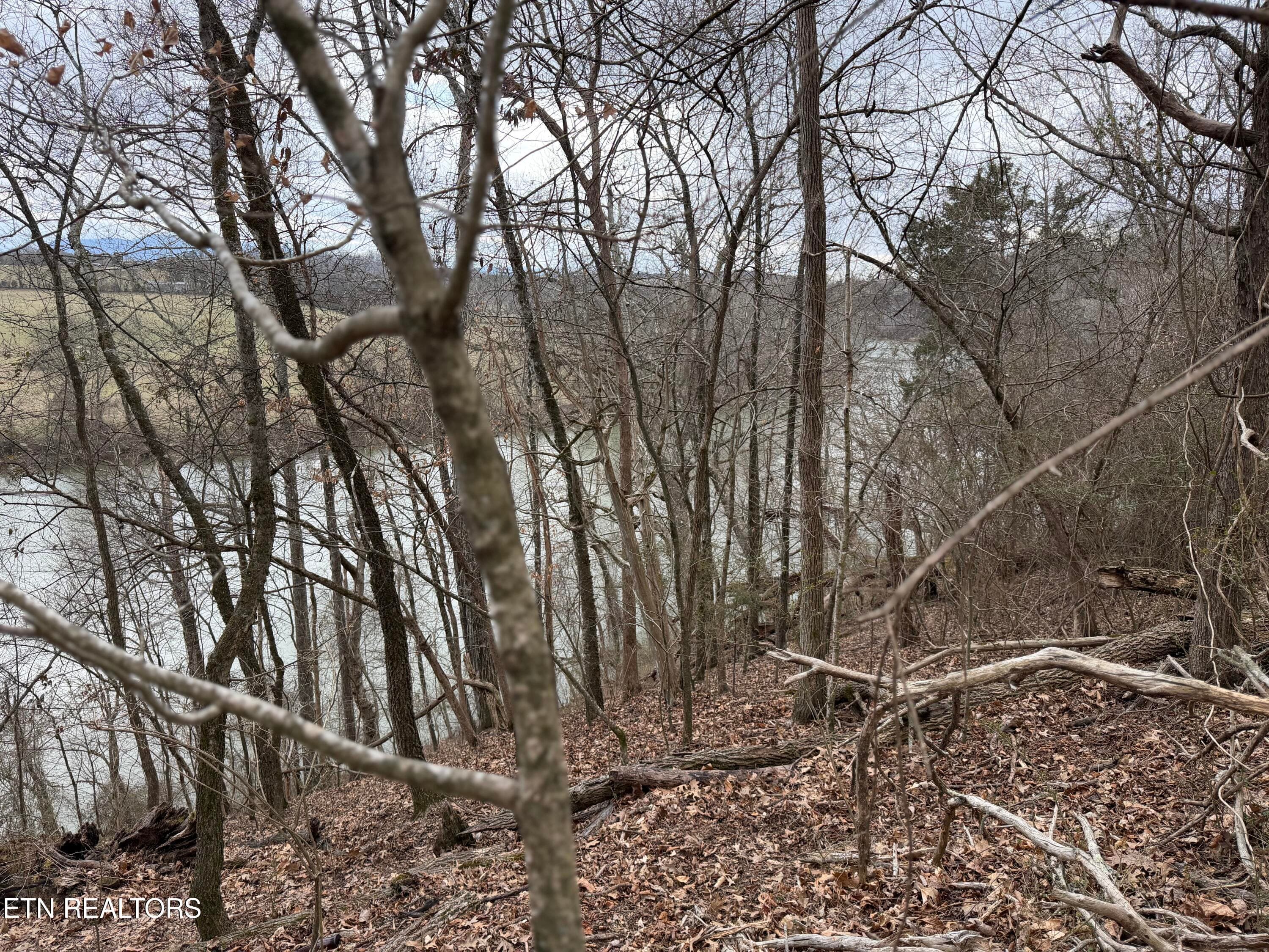 IMG_9126 - John Spears Way, Sevierville, TN 37876