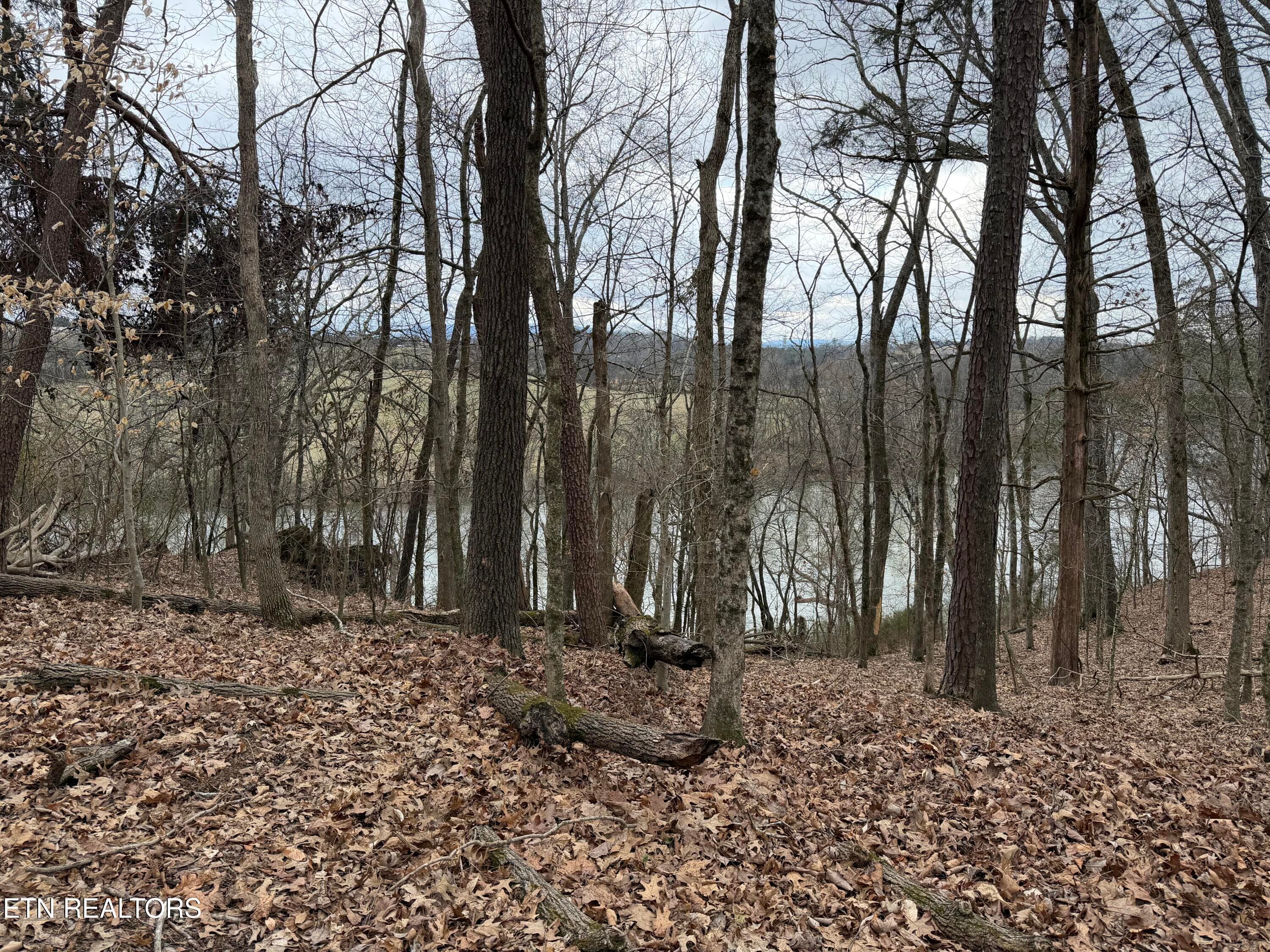 IMG_9127 - John Spears Way, Sevierville, TN 37876