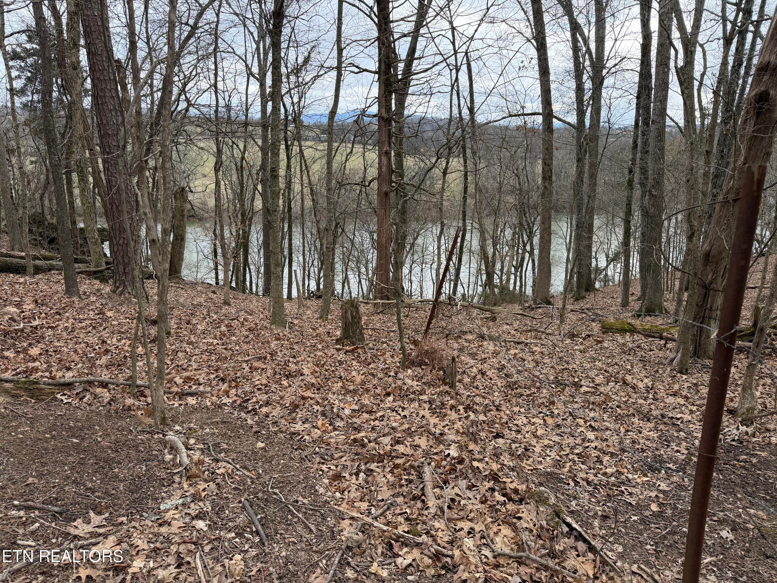 IMG_9129 - John Spears Way, Sevierville, TN 37876