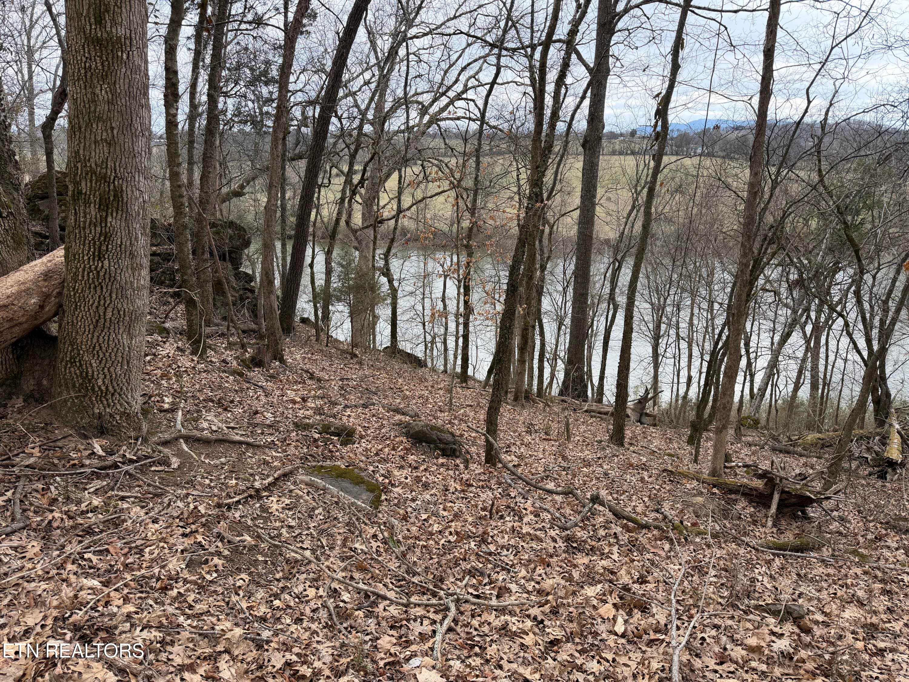 IMG_9130 - John Spears Way, Sevierville, TN 37876