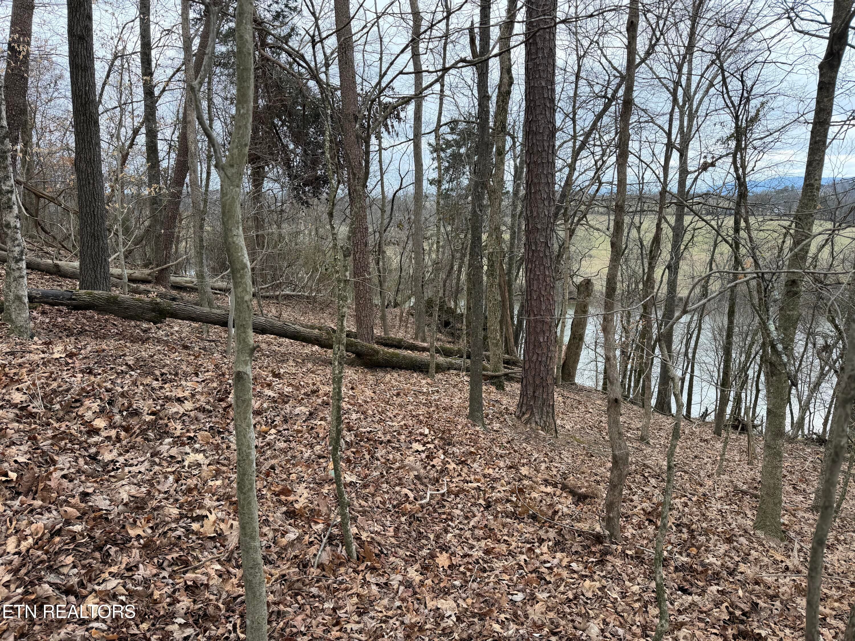 IMG_9134 - John Spears Way, Sevierville, TN 37876
