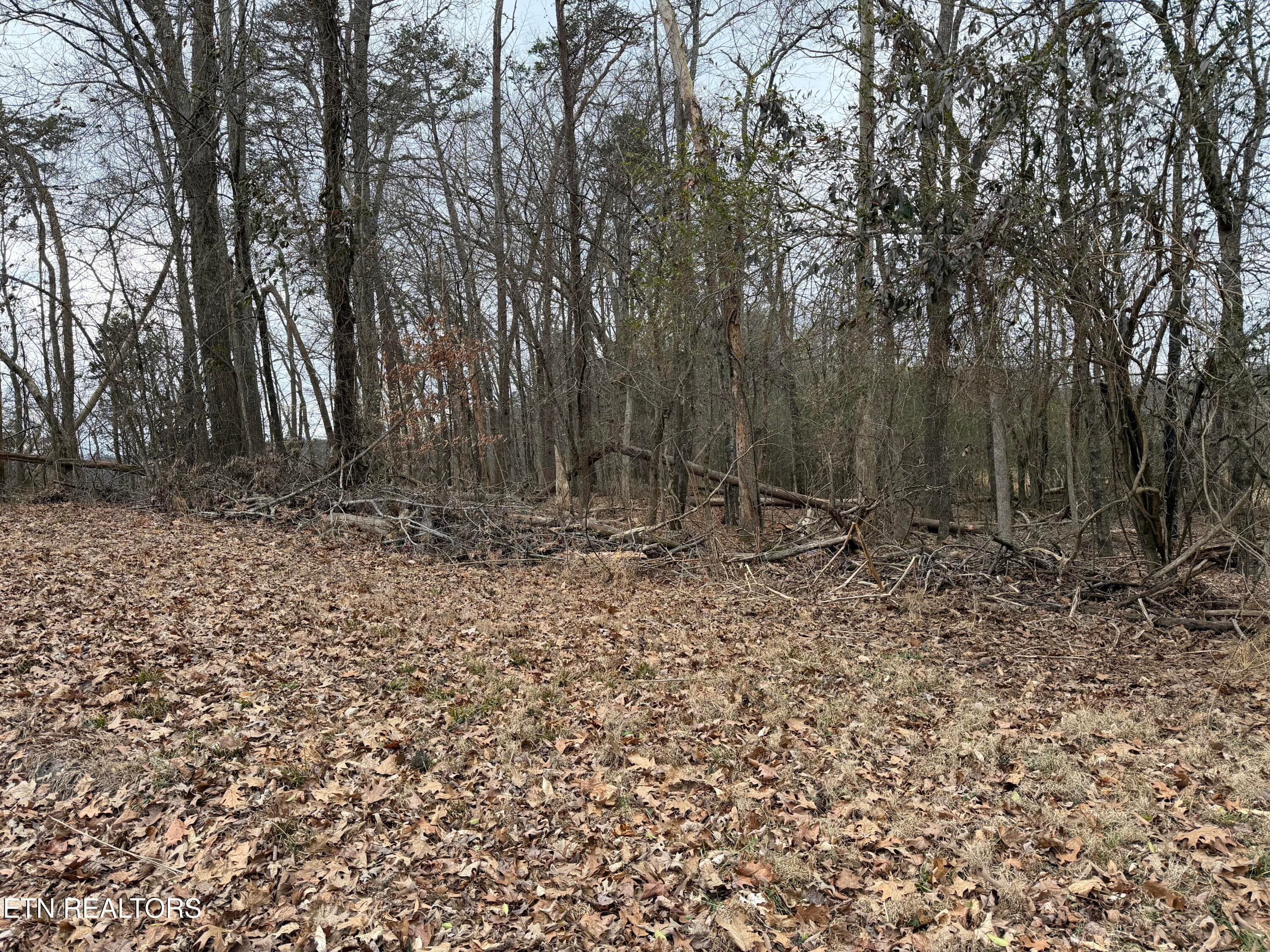 IMG_9135 - John Spears Way, Sevierville, TN 37876