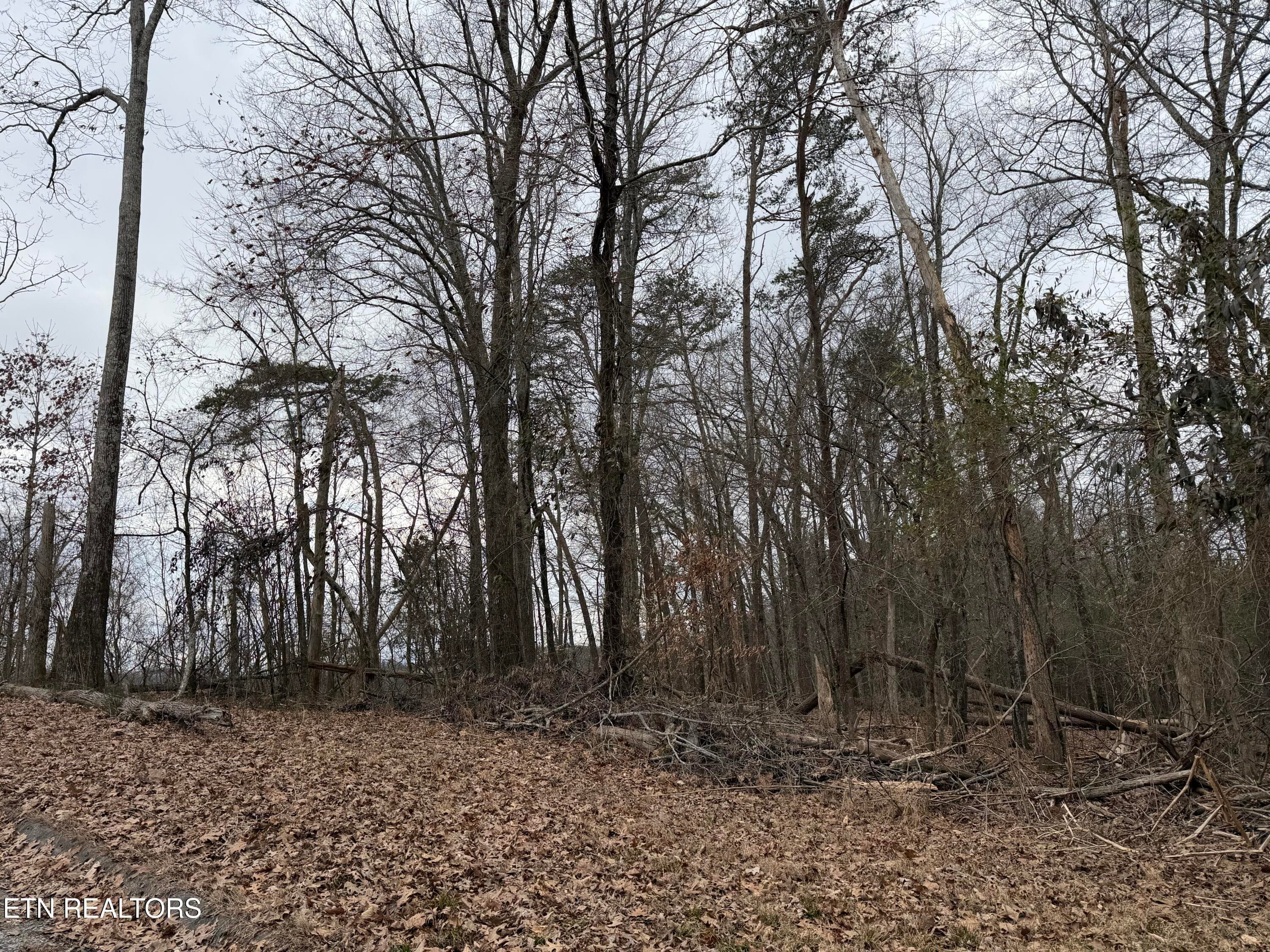 IMG_9136 - John Spears Way, Sevierville, TN 37876