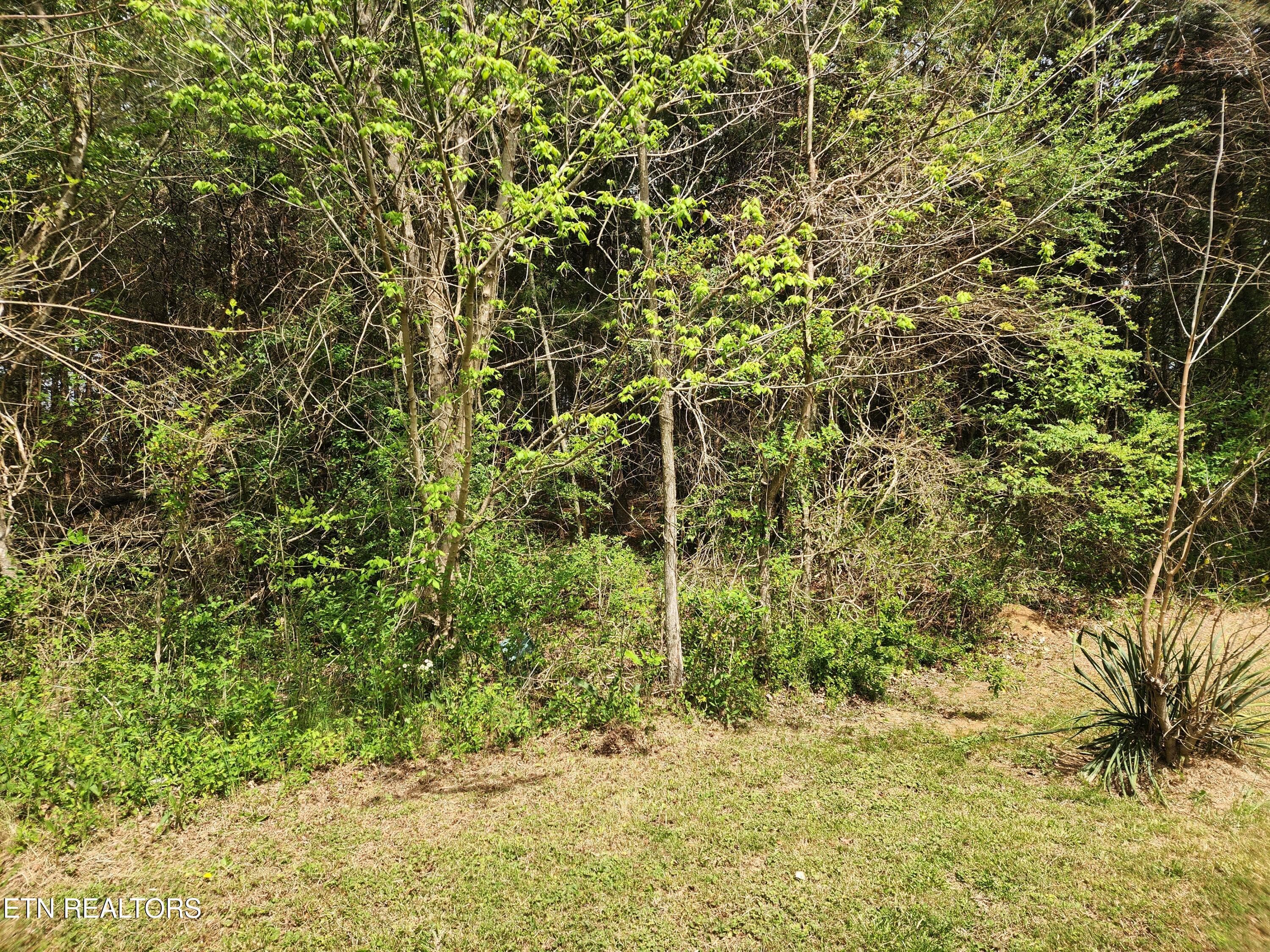 20260408_130056 - 942 Honeysuckle Rd, Maryville, TN 37801