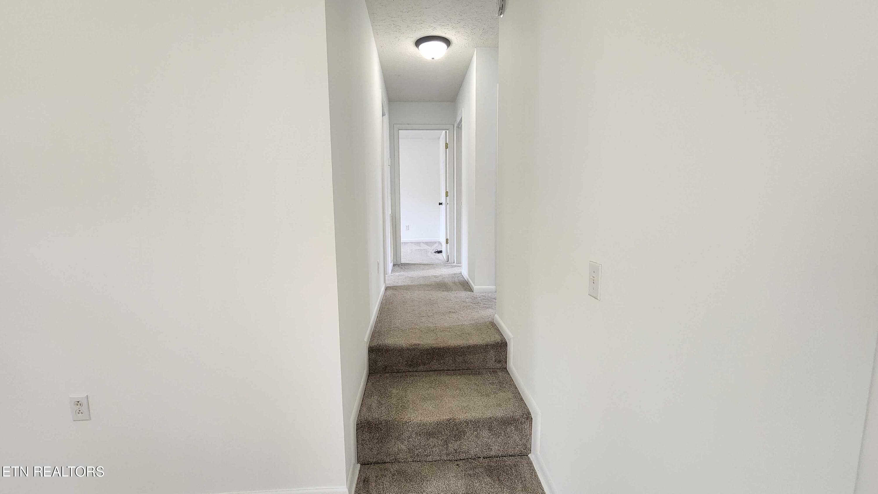 Freehill Rd -- Hallway - 1825 Freehill Rd, Celina, TN 38551