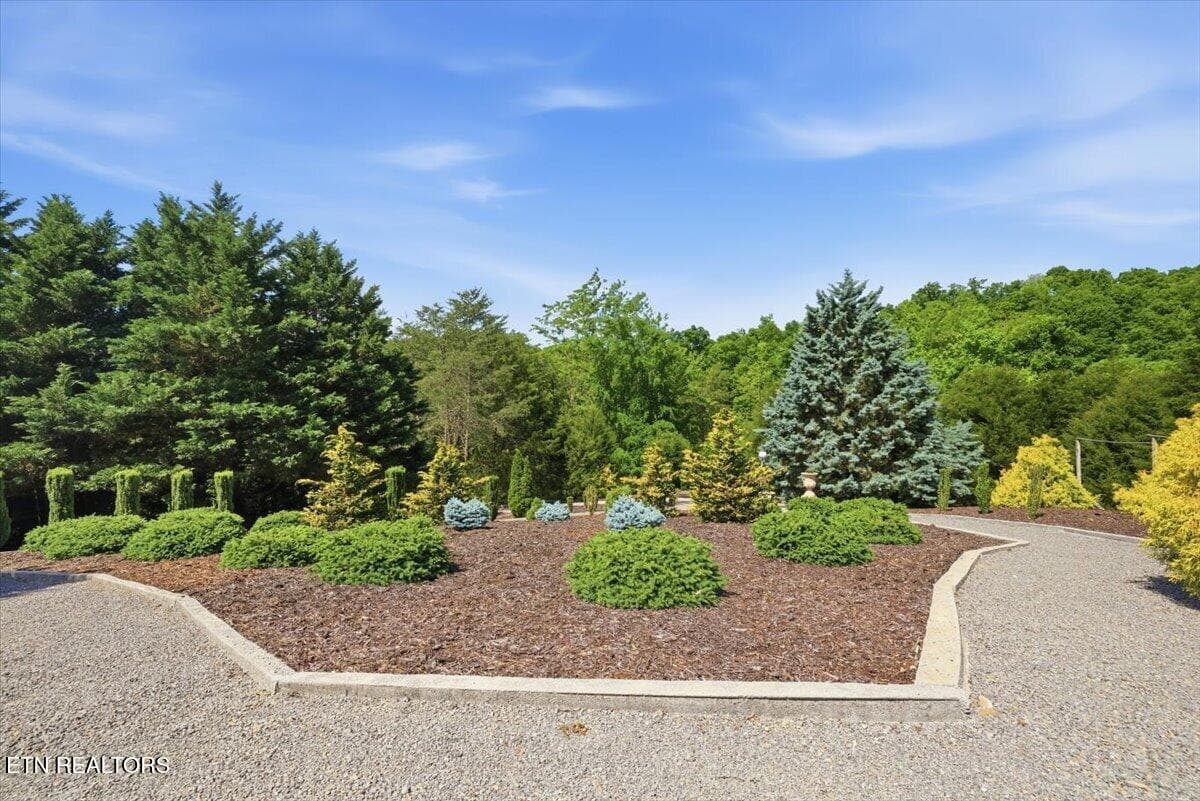 14-281_Rhondas_Way_013 - 281 Rhonda Way, Bean Station, TN 37708