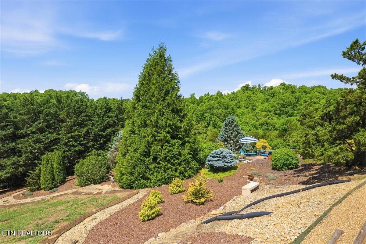 20-281_Rhondas_Way_057 - 281 Rhonda Way, Bean Station, TN 37708