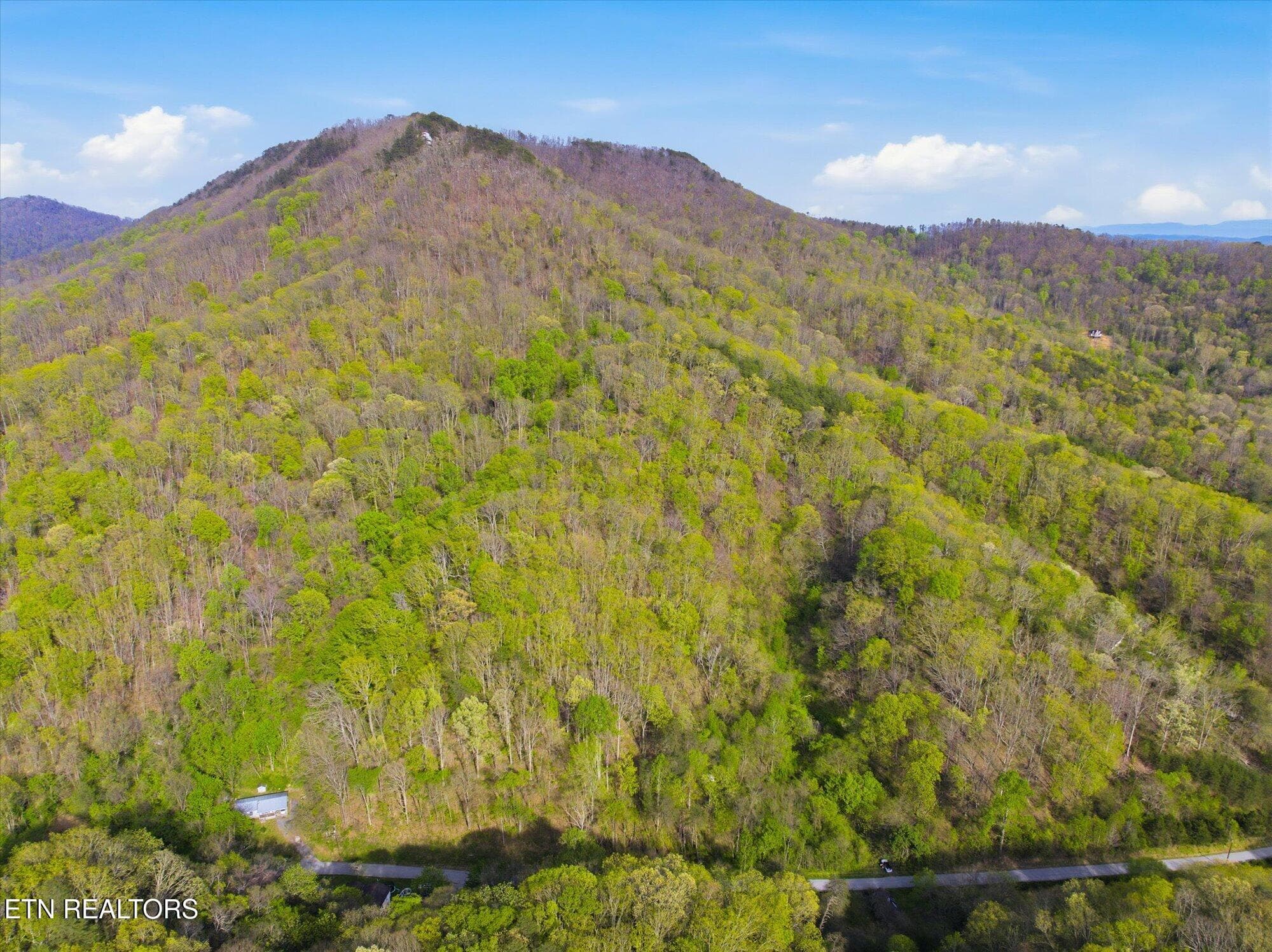 02-Jim-Town-Rd-Luttrell-TN-2 - 000 Jim Town Rd, Luttrell, TN 37779