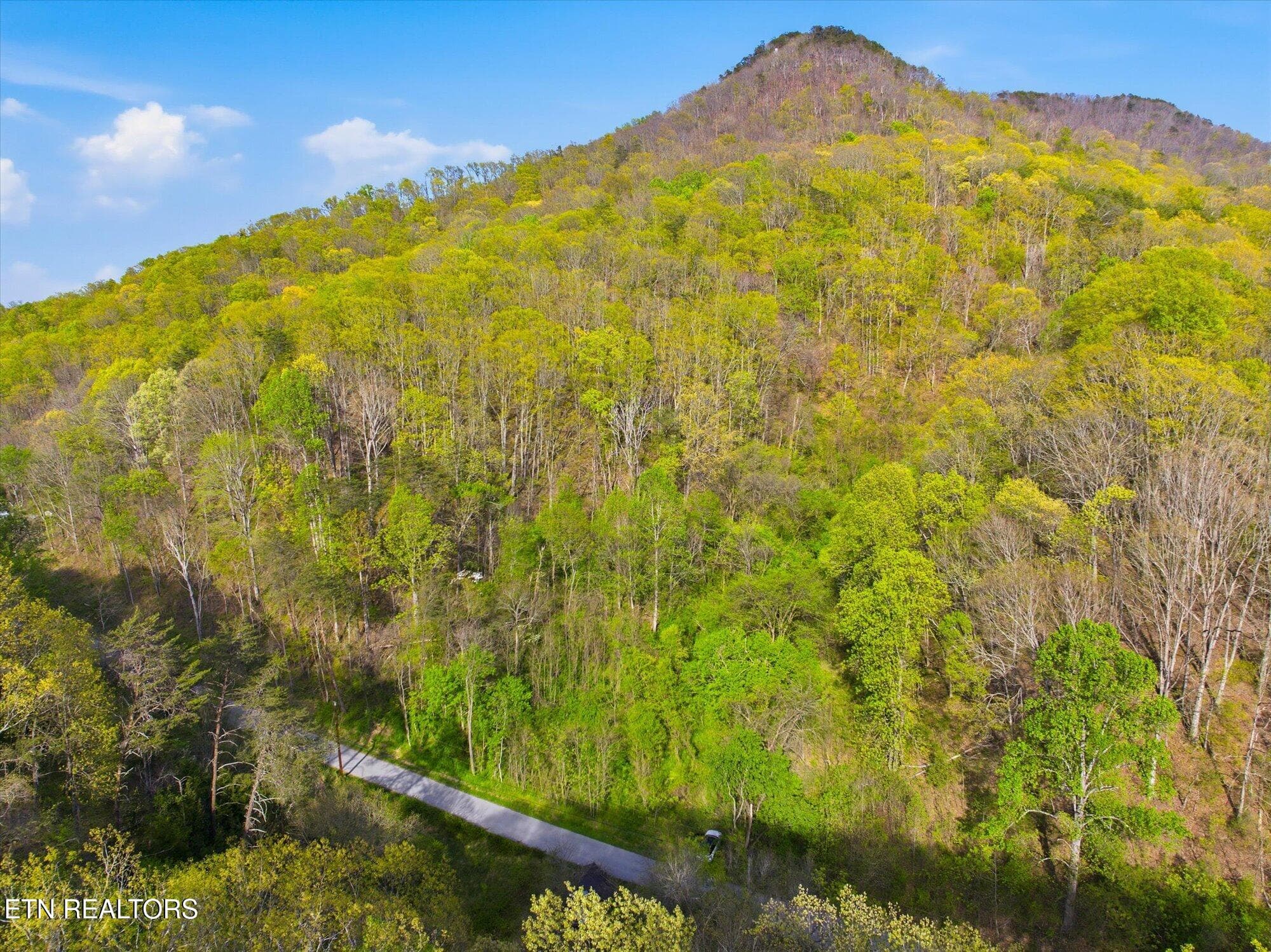 13-Jim-Town-Rd-Luttrell-TN-13 - 000 Jim Town Rd, Luttrell, TN 37779