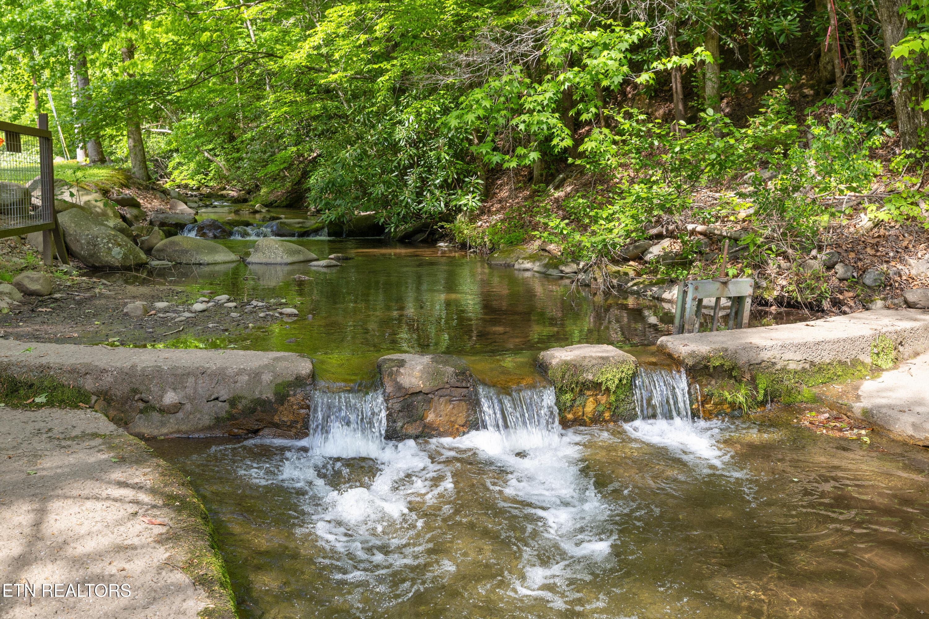 Pool - 509 Adams Road, Gatlinburg, TN 37738, Gatlinburg