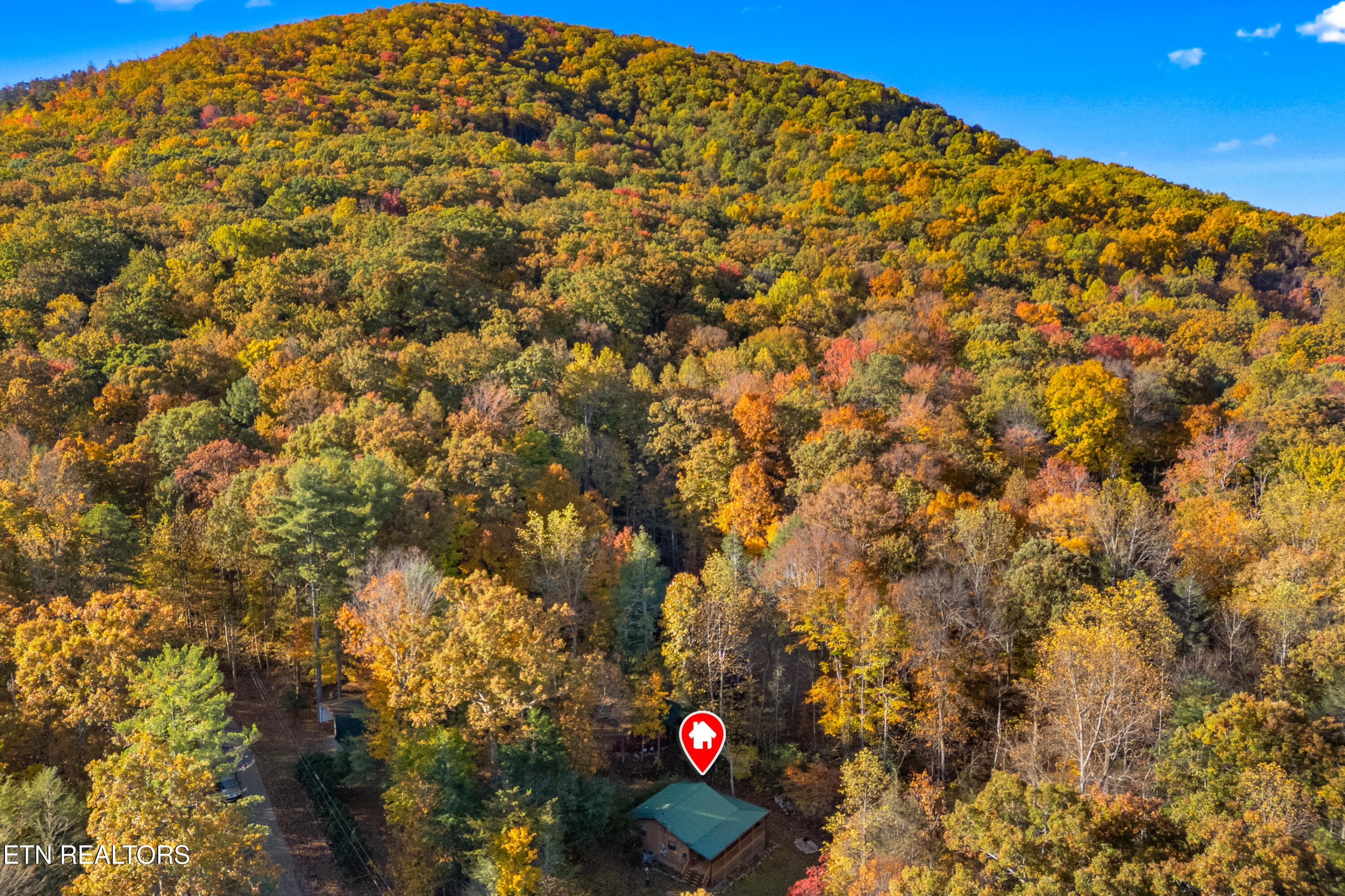 032-3391LaurelwoodRoad-Cosby-TN-37722-FU - 3391 Laurelwood Rd, Cosby, TN 37722