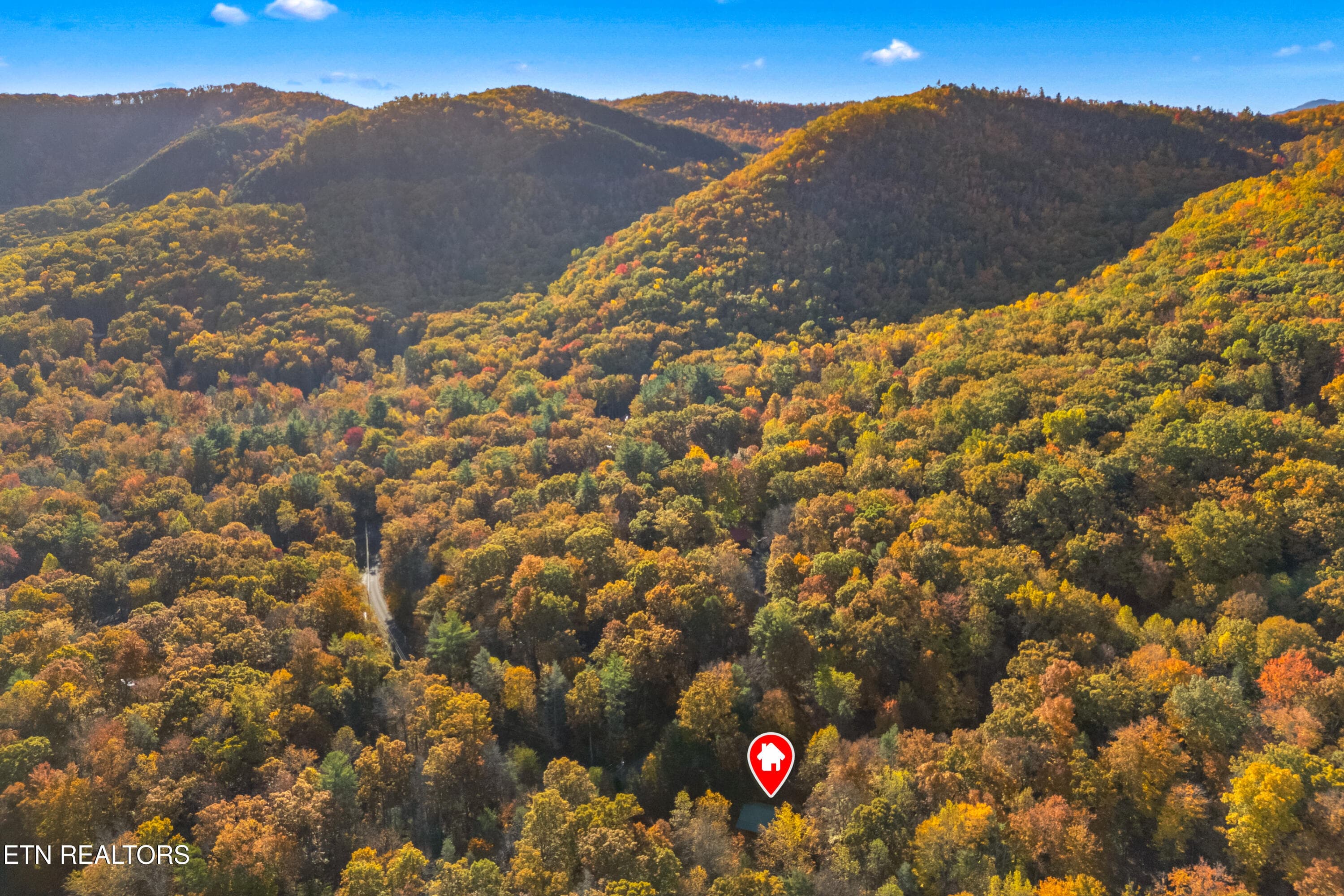 033-3391LaurelwoodRoad-Cosby-TN-37722-FU - 3391 Laurelwood Rd, Cosby, TN 37722