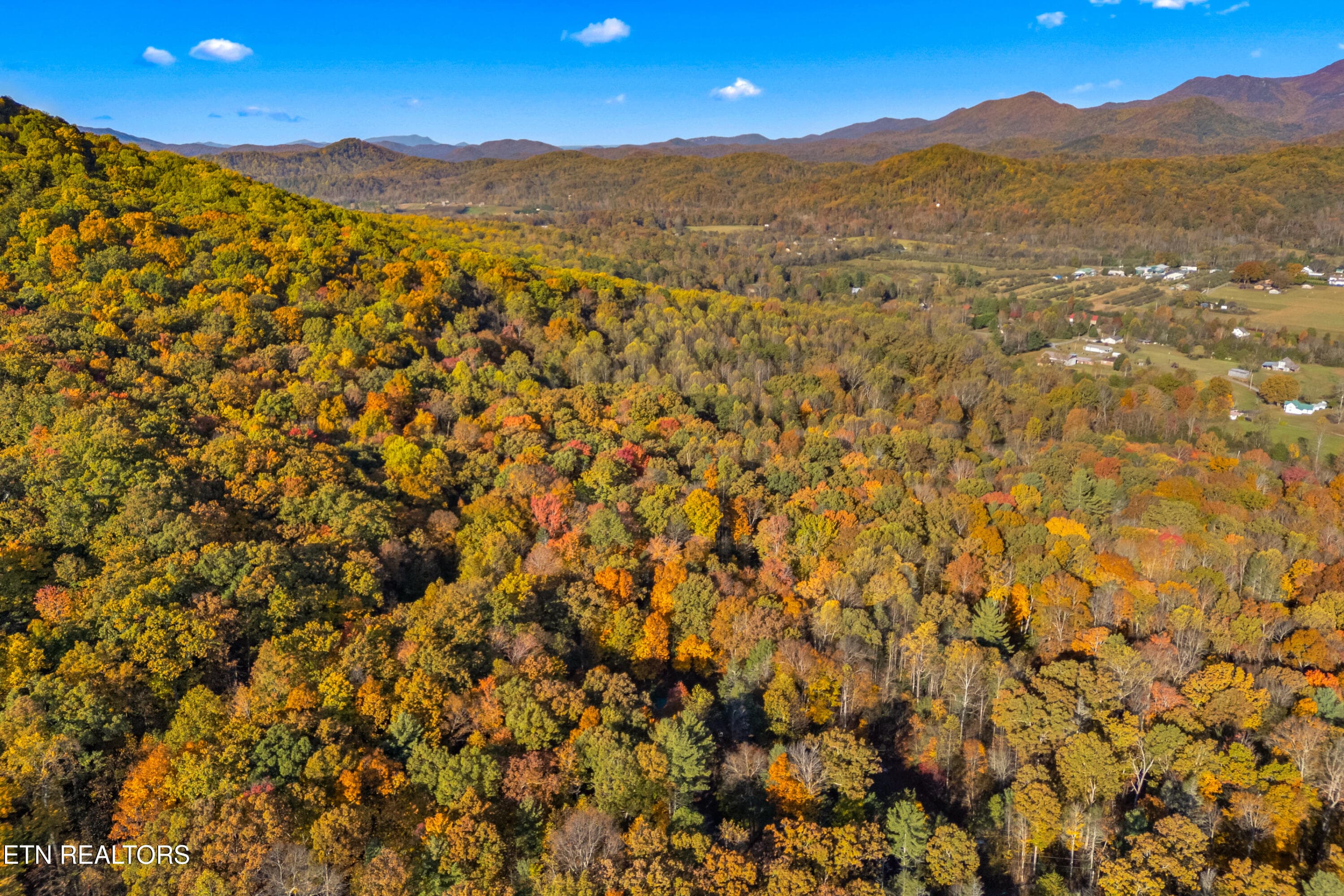 035-3391LaurelwoodRoad-Cosby-TN-37722-FU - 3391 Laurelwood Rd, Cosby, TN 37722