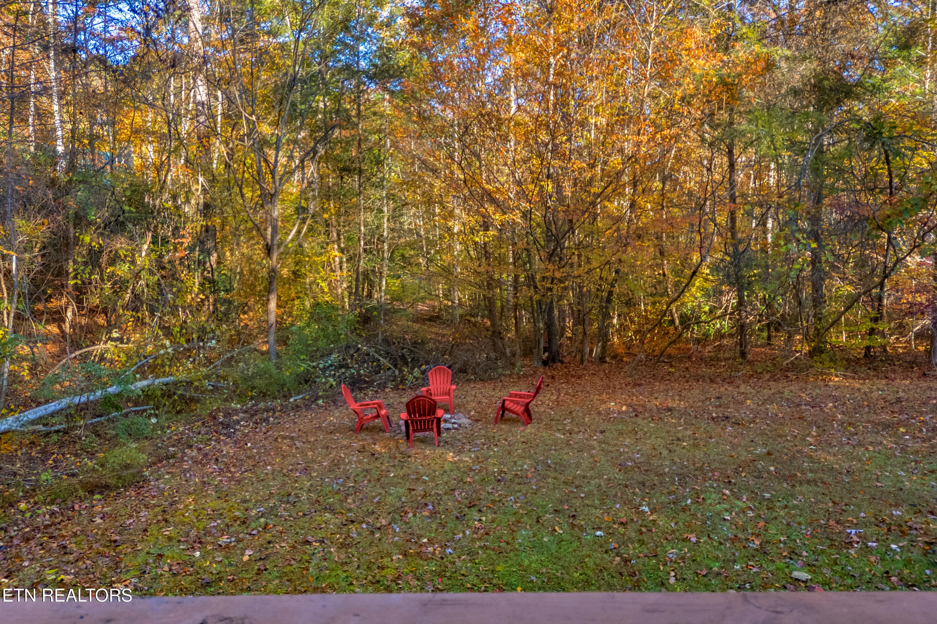 026-3391LaurelwoodRoad-Cosby-TN-37722-FU - 3391 Laurelwood Rd, Cosby, TN 37722