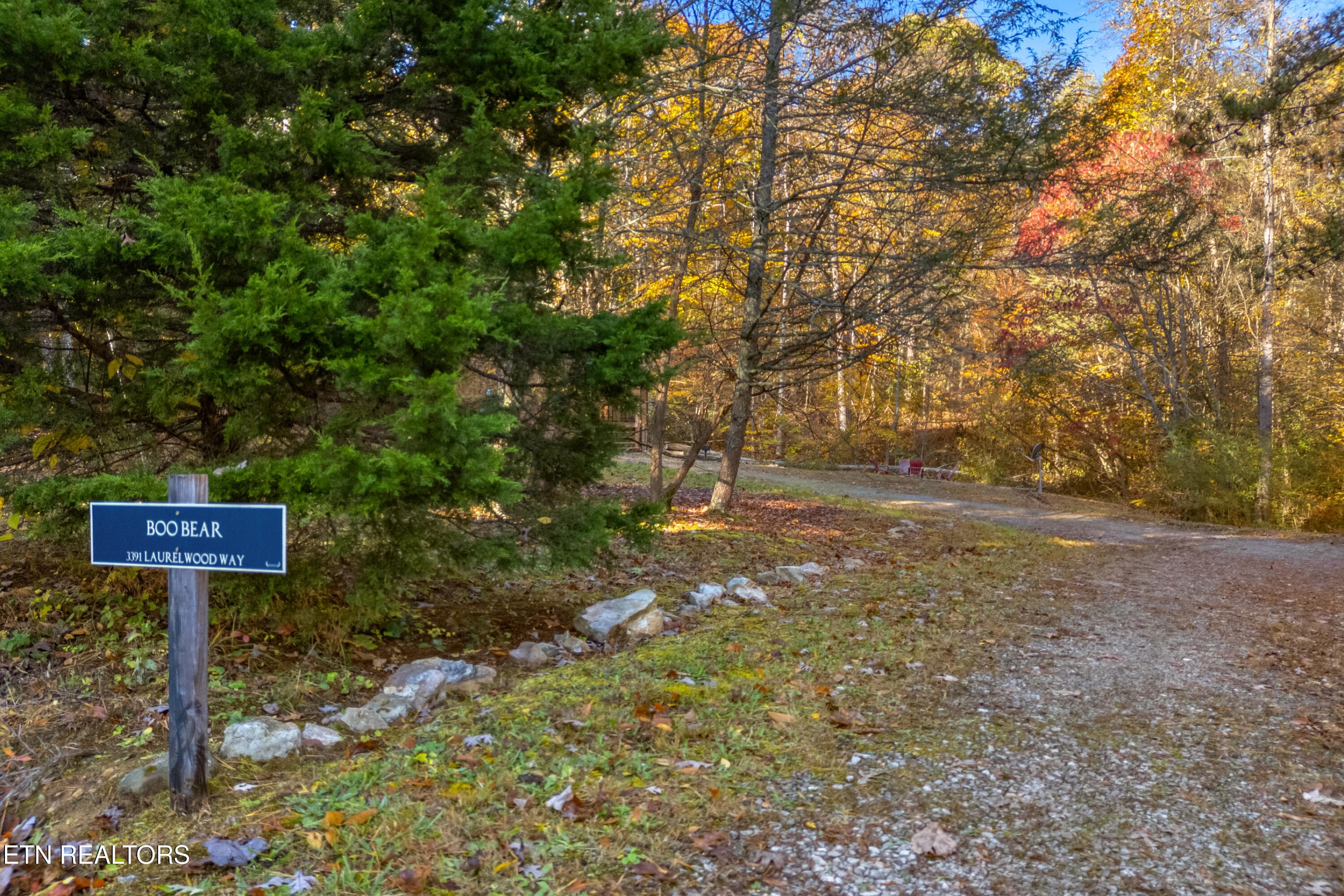 005-3391LaurelwoodRoad-Cosby-TN-37722-FU - 3391 Laurelwood Rd, Cosby, TN 37722