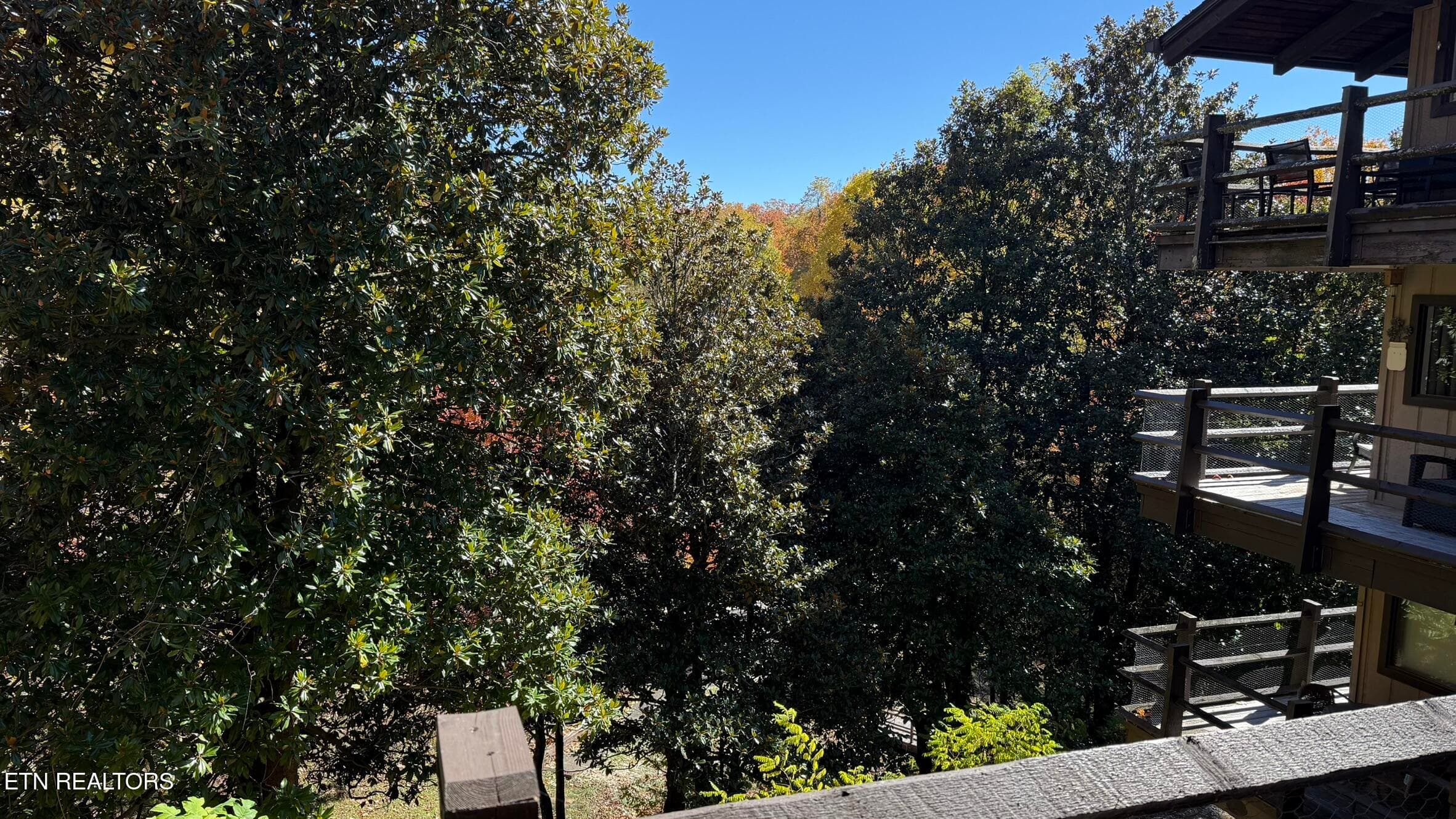 IMG_4339 - 1081 Cove Rd 614, Sevierville, TN 37876, Sevierville