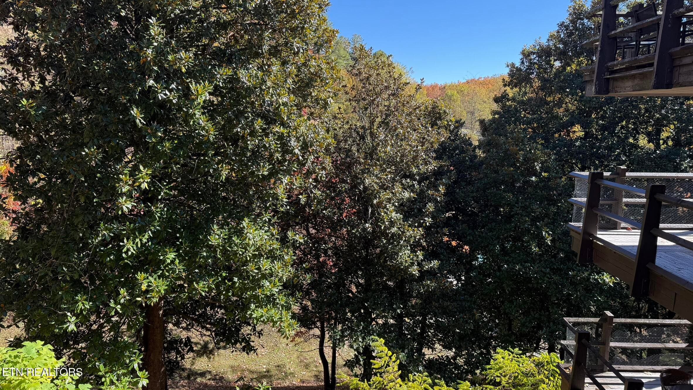 IMG_4342 - 1081 Cove Rd 614, Sevierville, TN 37876, Sevierville