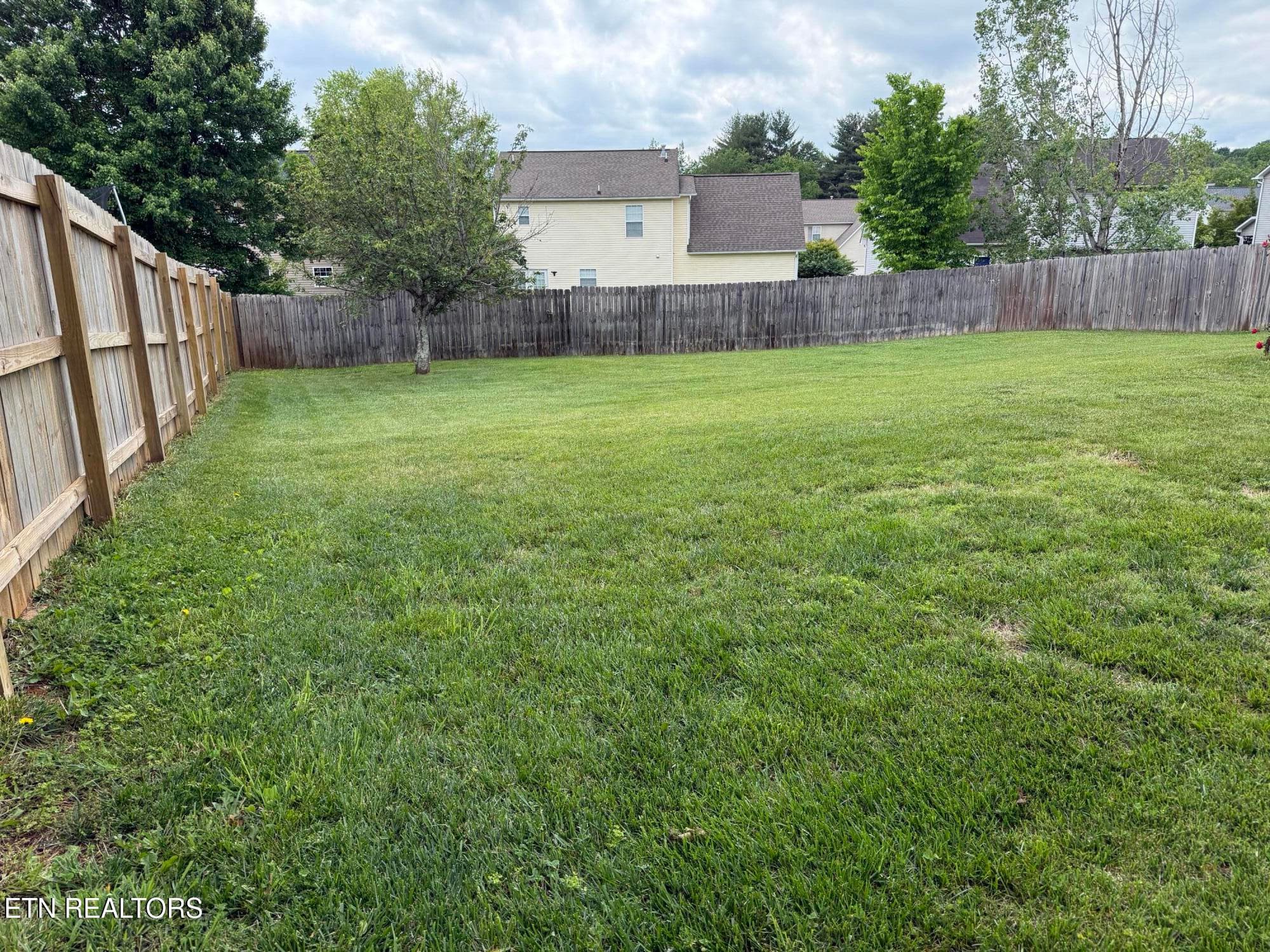 Back Yard 2 - 7847 Dawnview Rd, Powell, TN 37849