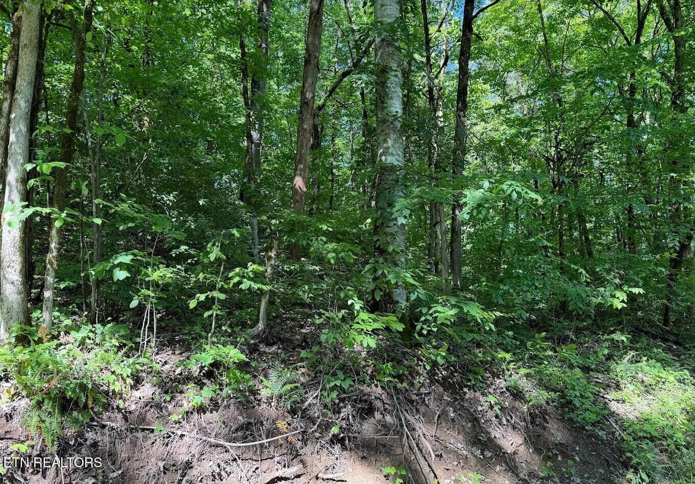 SC Land 11 - 0 Spring Creek Rd, Cookeville, TN 38501