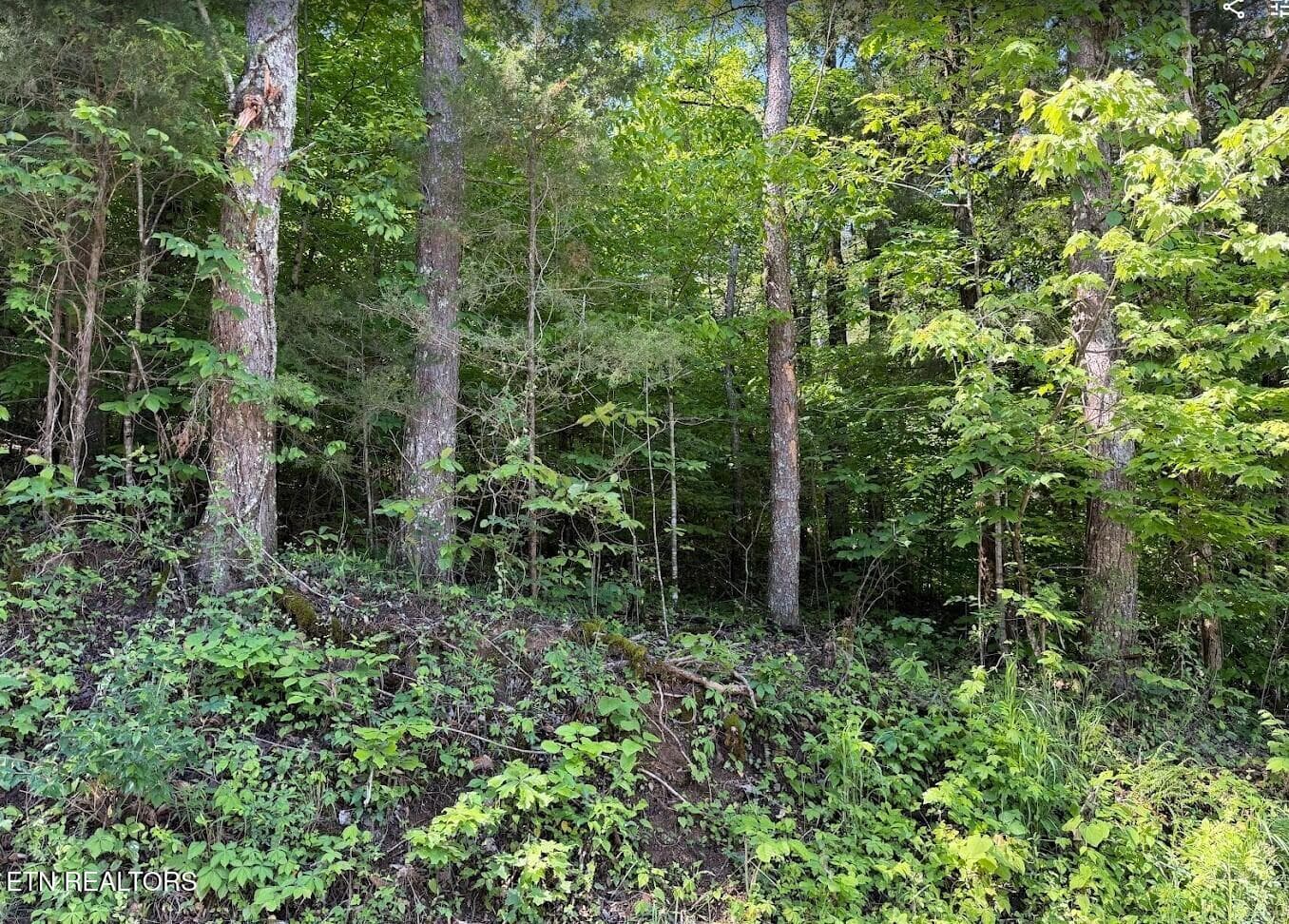 SC Land 7 - 0 Spring Creek Rd, Cookeville, TN 38501