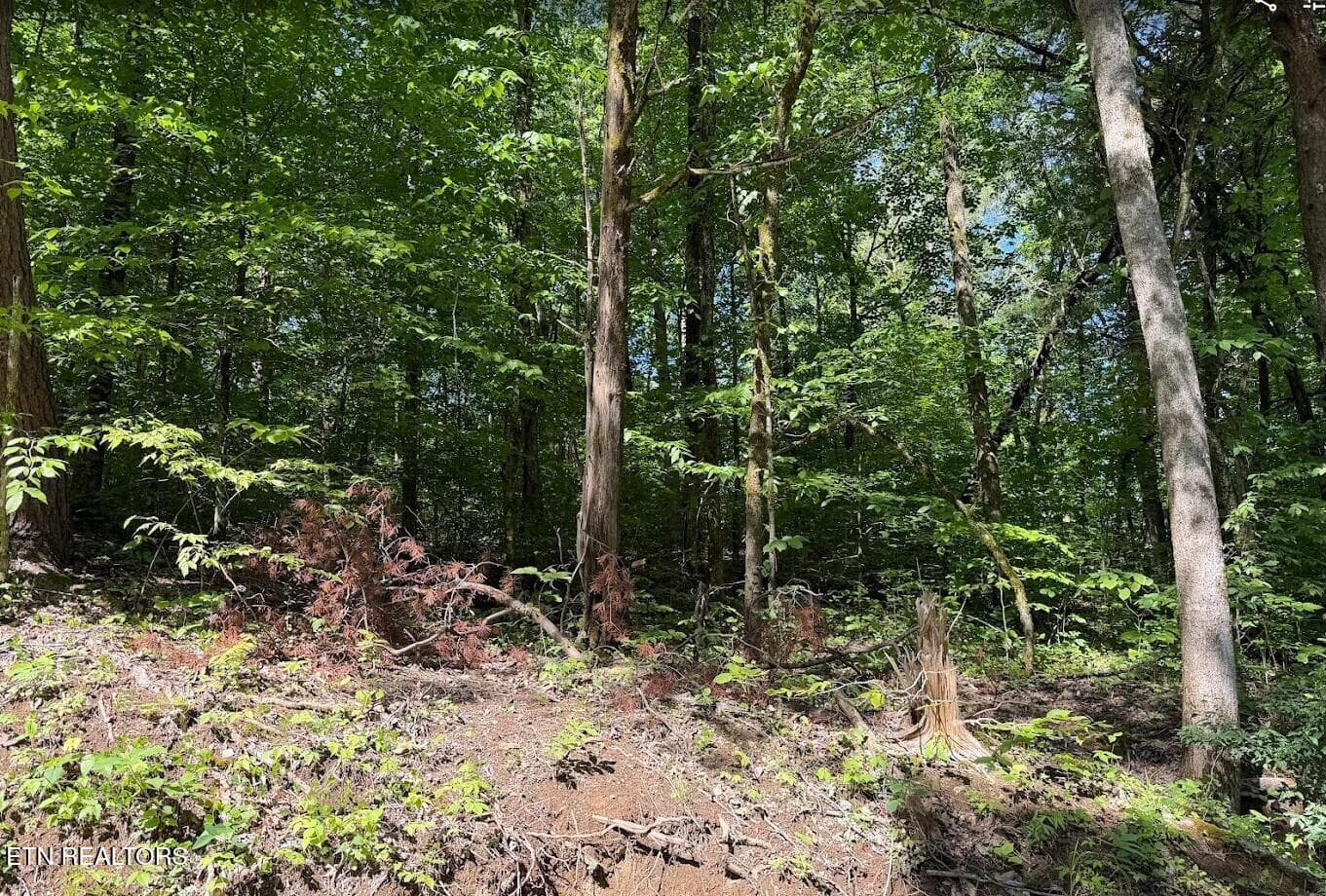 SC Land 9 - 0 Spring Creek Rd, Cookeville, TN 38501