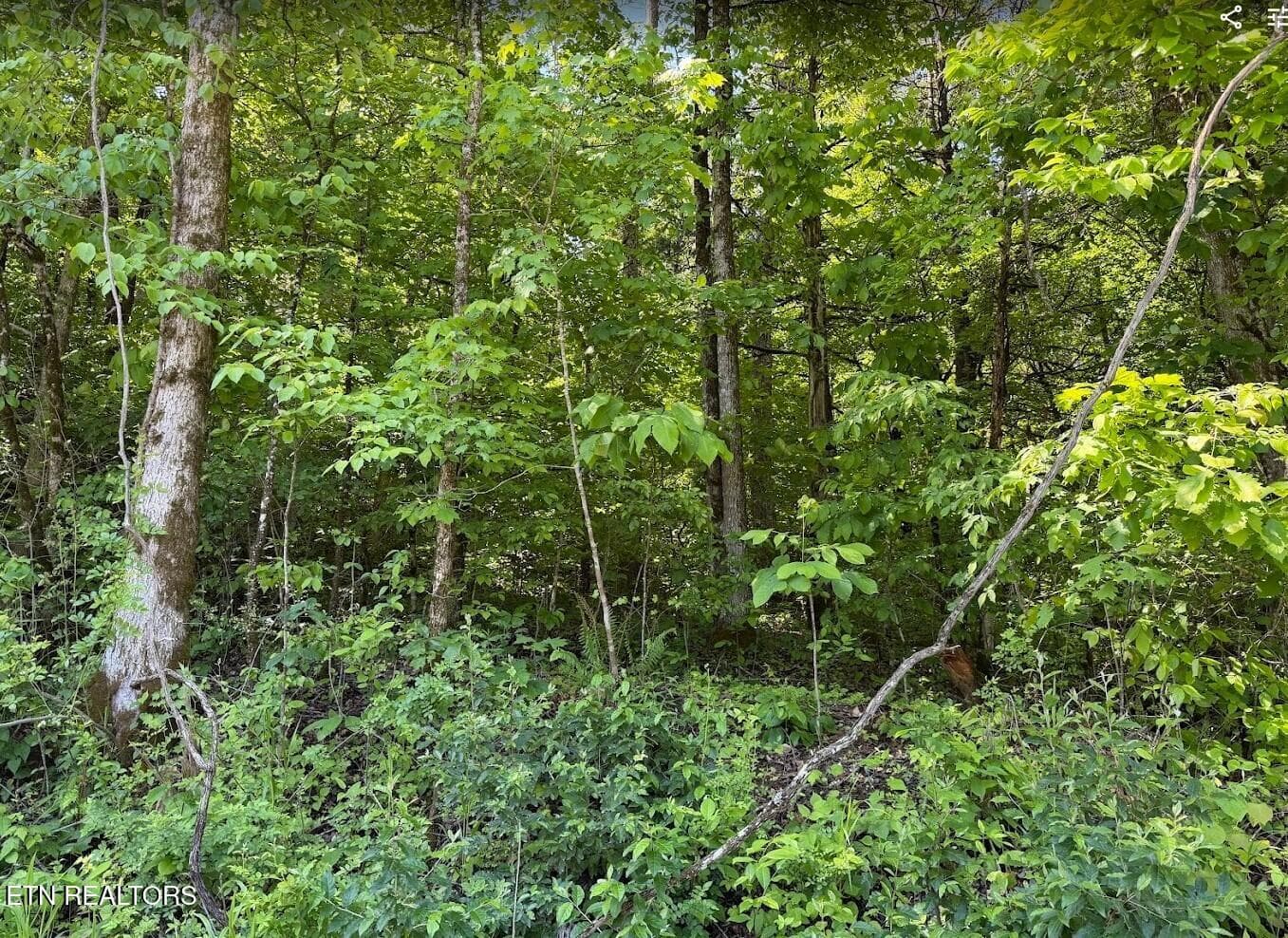 SC Land 6 - 0 Spring Creek Rd, Cookeville, TN 38501