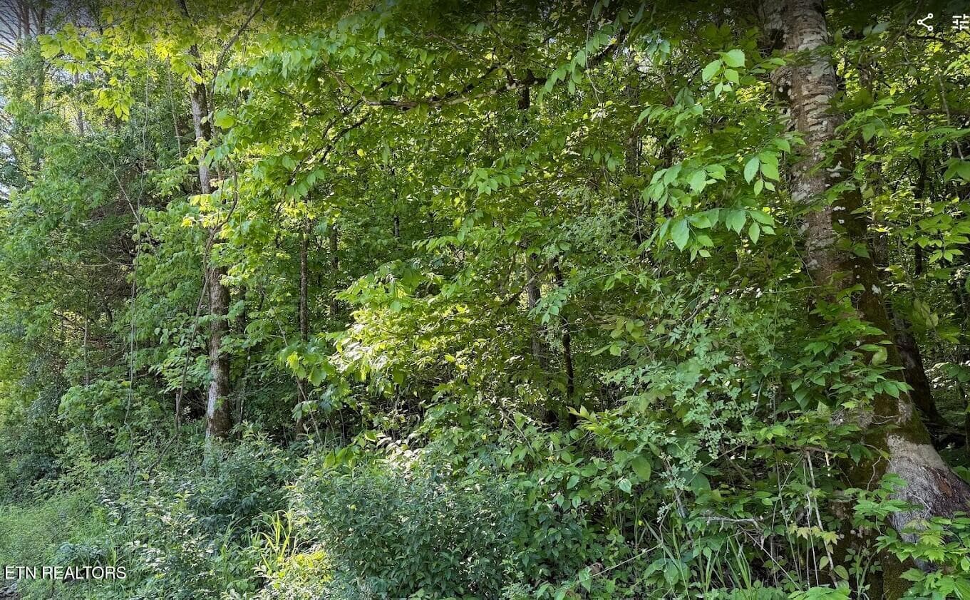 SC Land 3 - 0 Spring Creek Rd, Cookeville, TN 38501