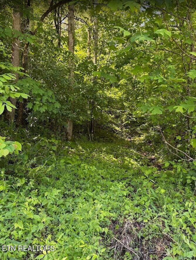 SC Land 2 - 0 Spring Creek Rd, Cookeville, TN 38501
