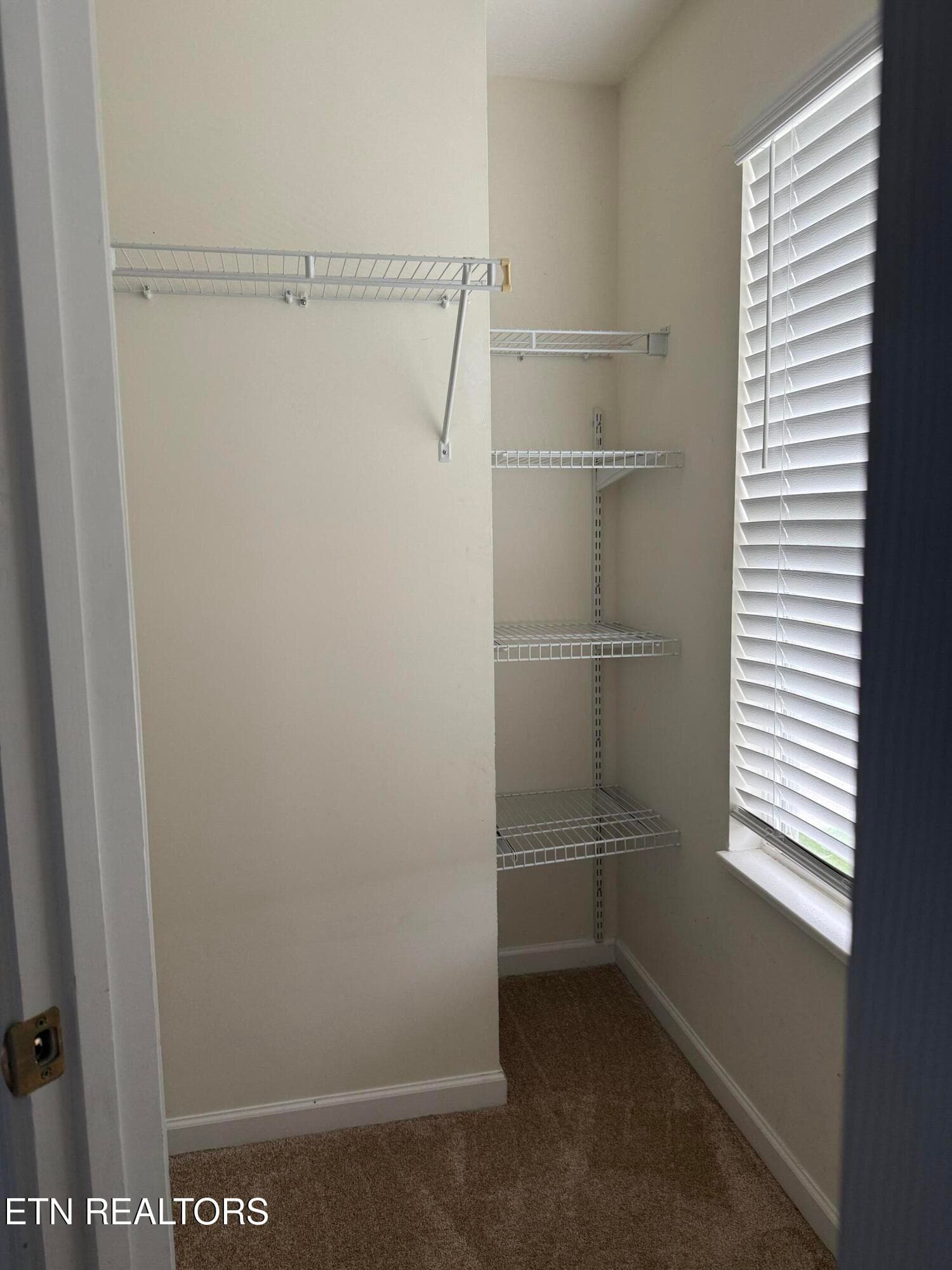 Bedroom 2 Closet - 7847 Dawnview Rd, Powell, TN 37849