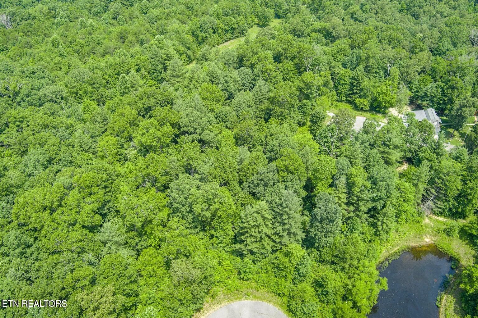 Mt Preserve 2 - 58 Mtn Preserve Point, Crab Orchard, TN 37723