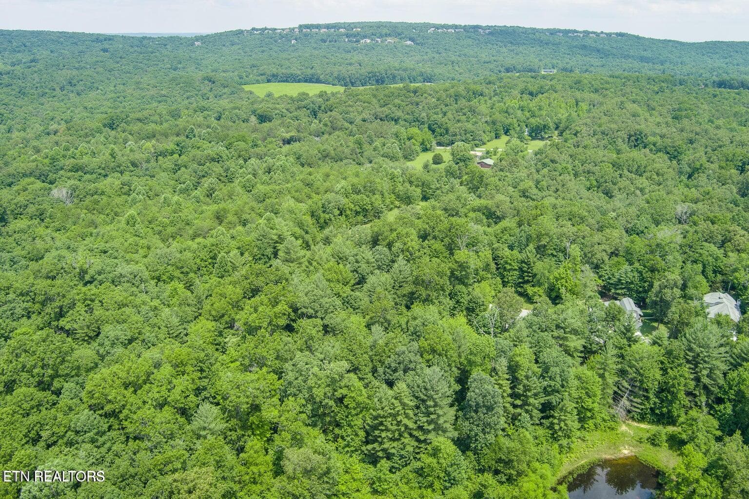 Mt Preserve 3 - 58 Mtn Preserve Point, Crab Orchard, TN 37723