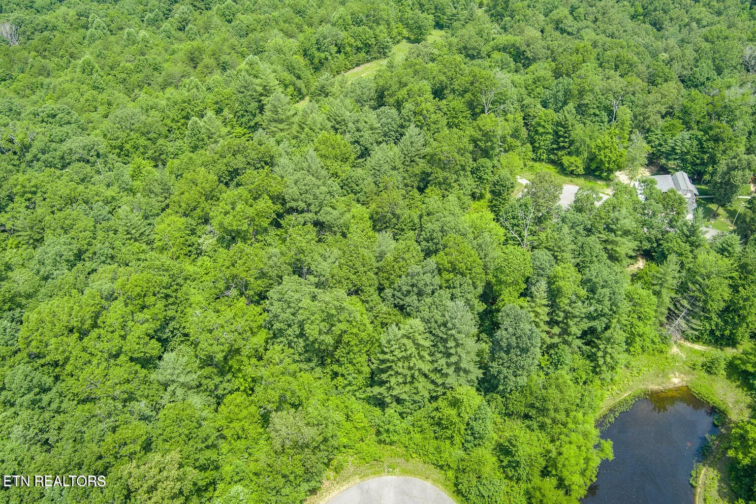 Mt Preserve 6 - 58 Mtn Preserve Point, Crab Orchard, TN 37723