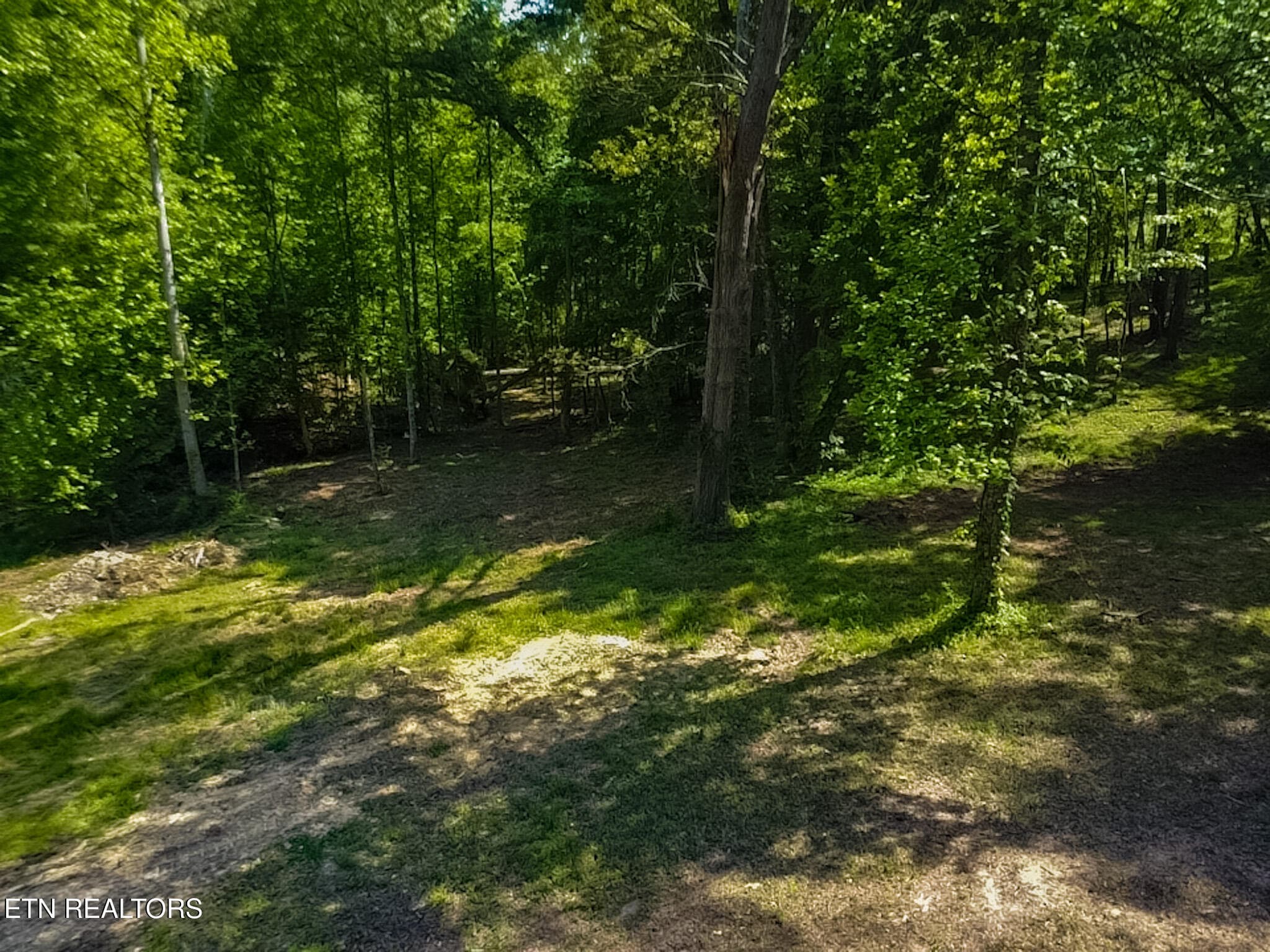 2026-04-24-15-44-36-178 - 984 Deerwood Drive, Dandridge, TN 37725, Dandridge